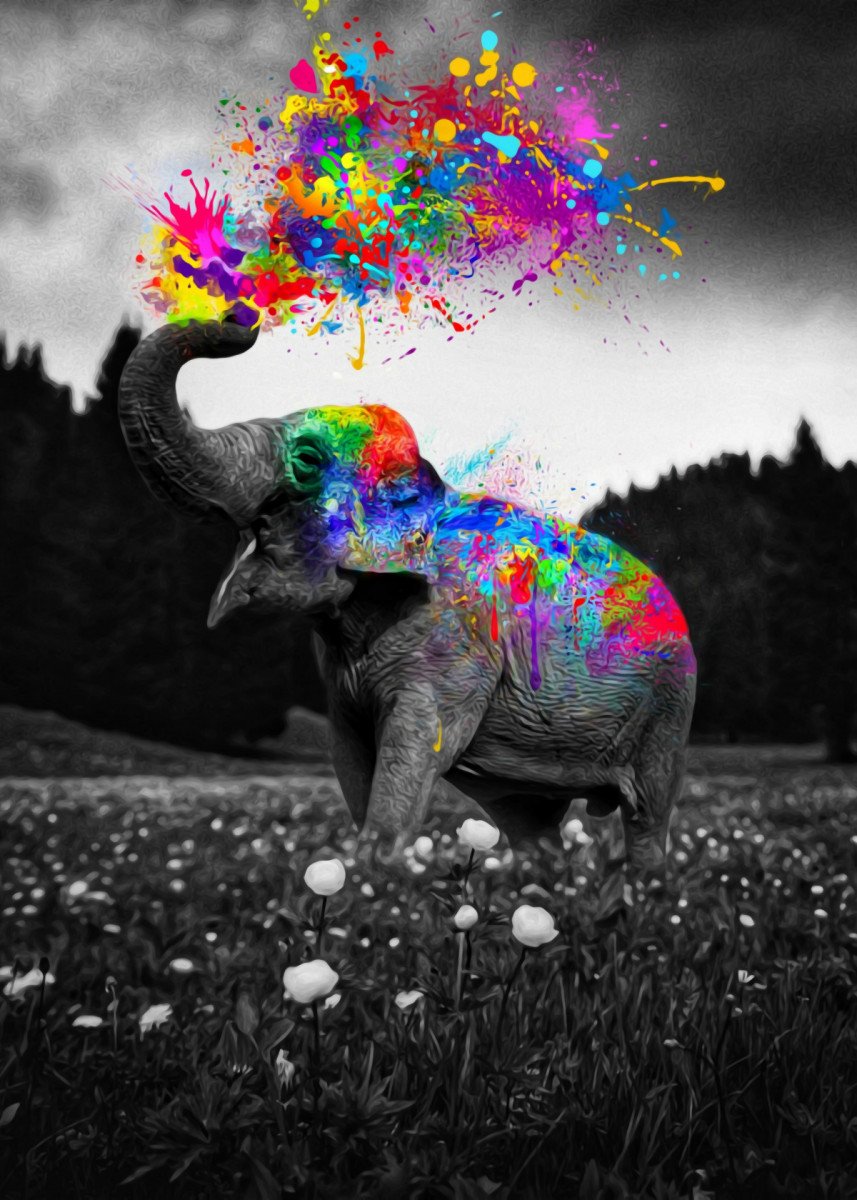 Colorful Elephant Wallpapers