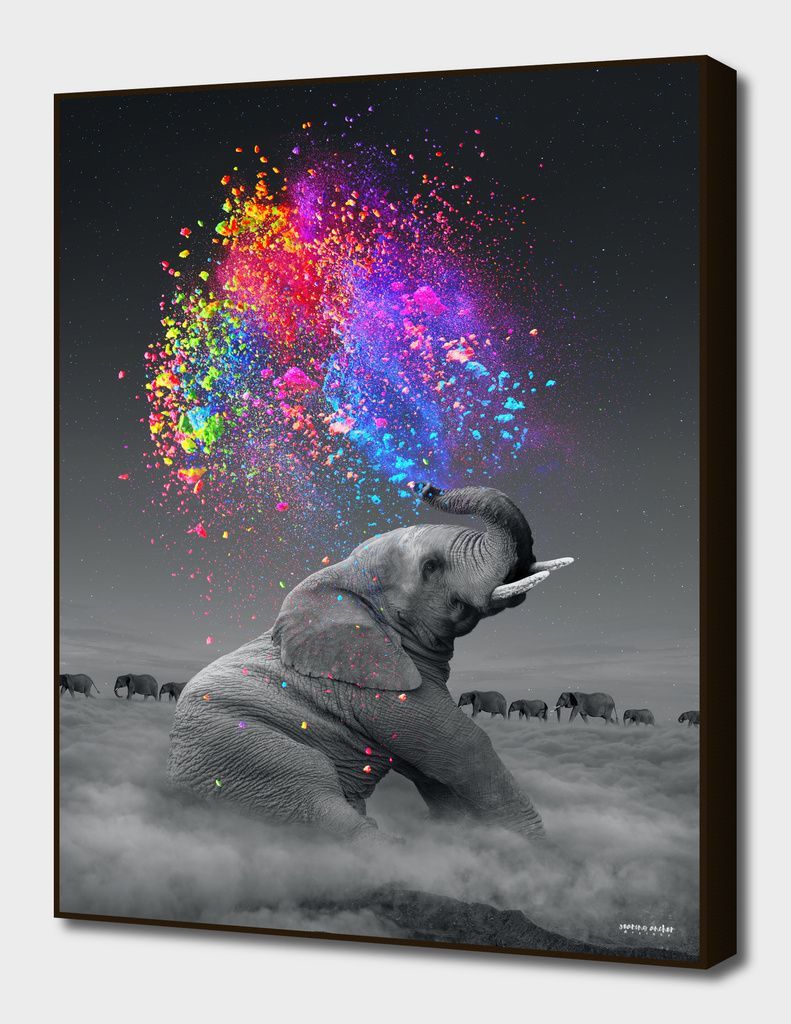 Colorful Elephant Wallpapers