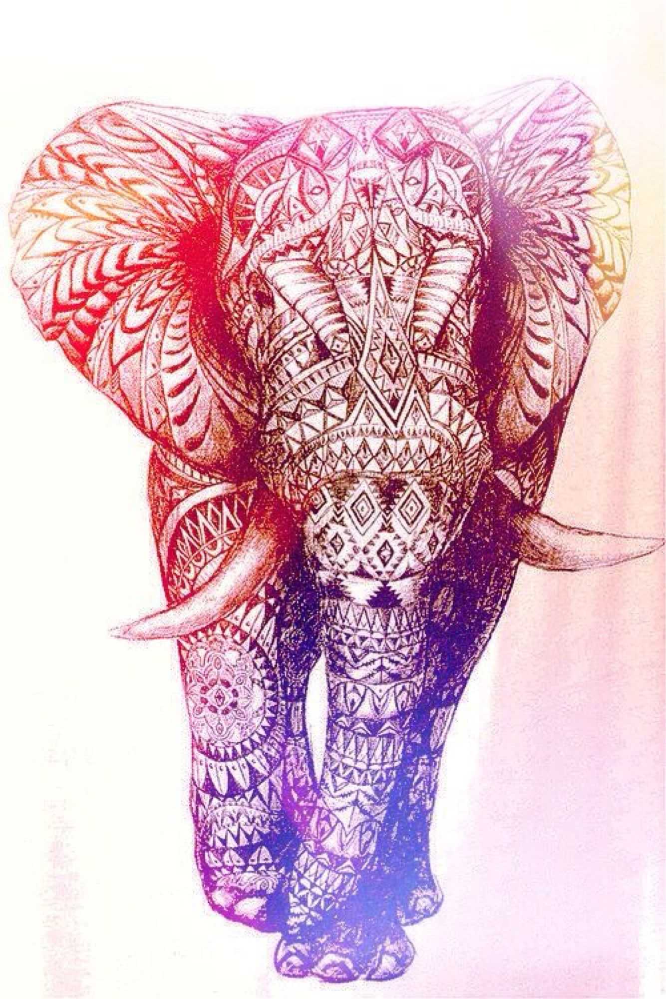 Colorful Elephant Wallpapers