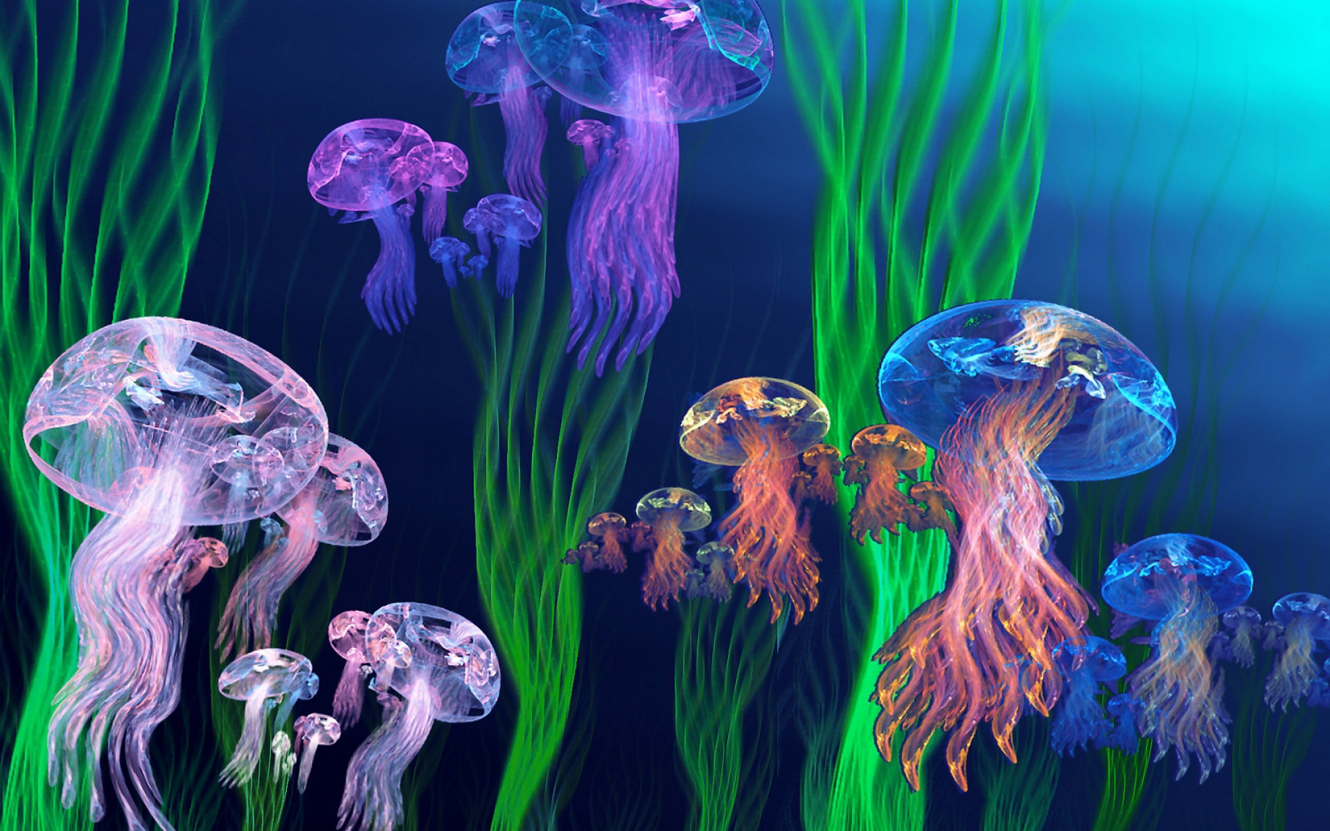 Colorful Jellyfish Wallpapers