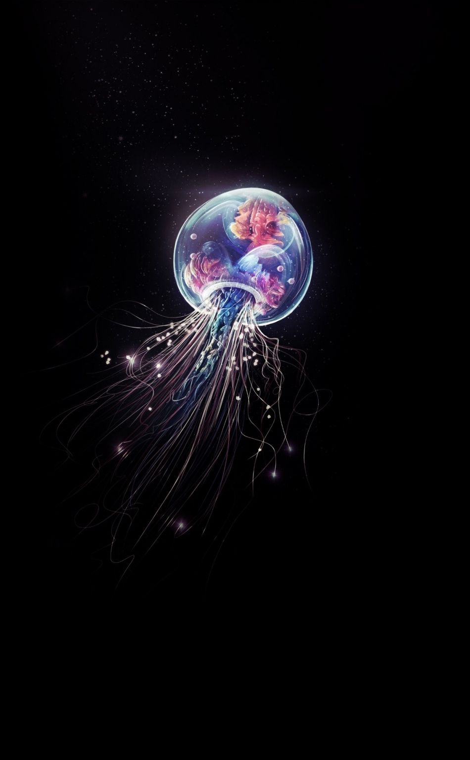 Colorful Jellyfish Wallpapers