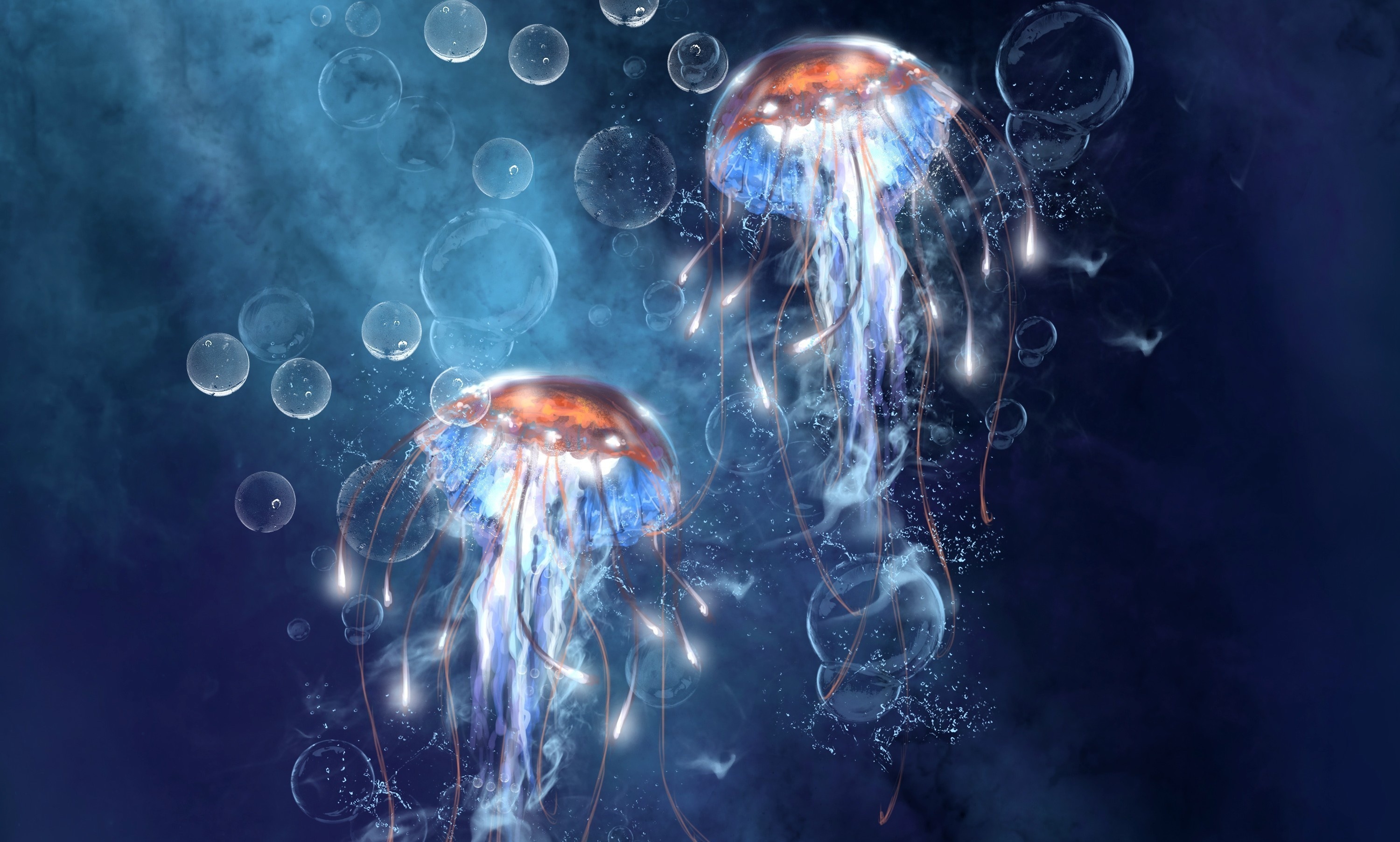 Colorful Jellyfish Wallpapers