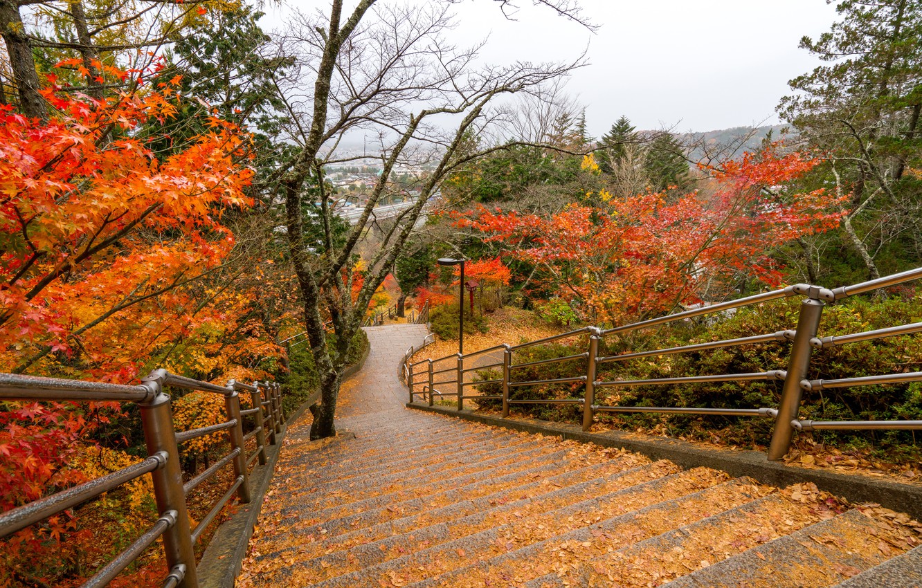 Colorful Landscape Forest Fall Wallpapers