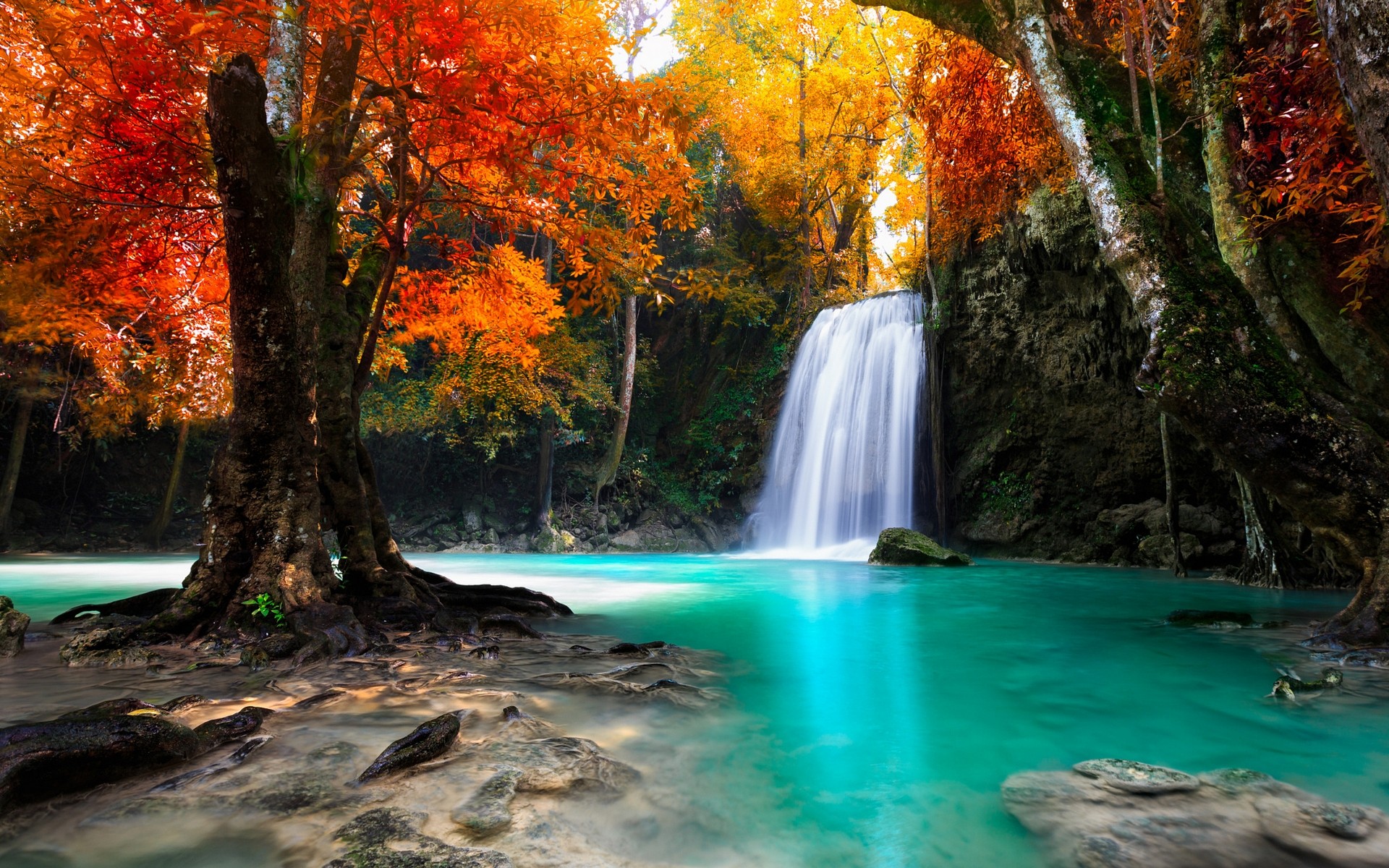 Colorful Landscape Forest Fall Wallpapers