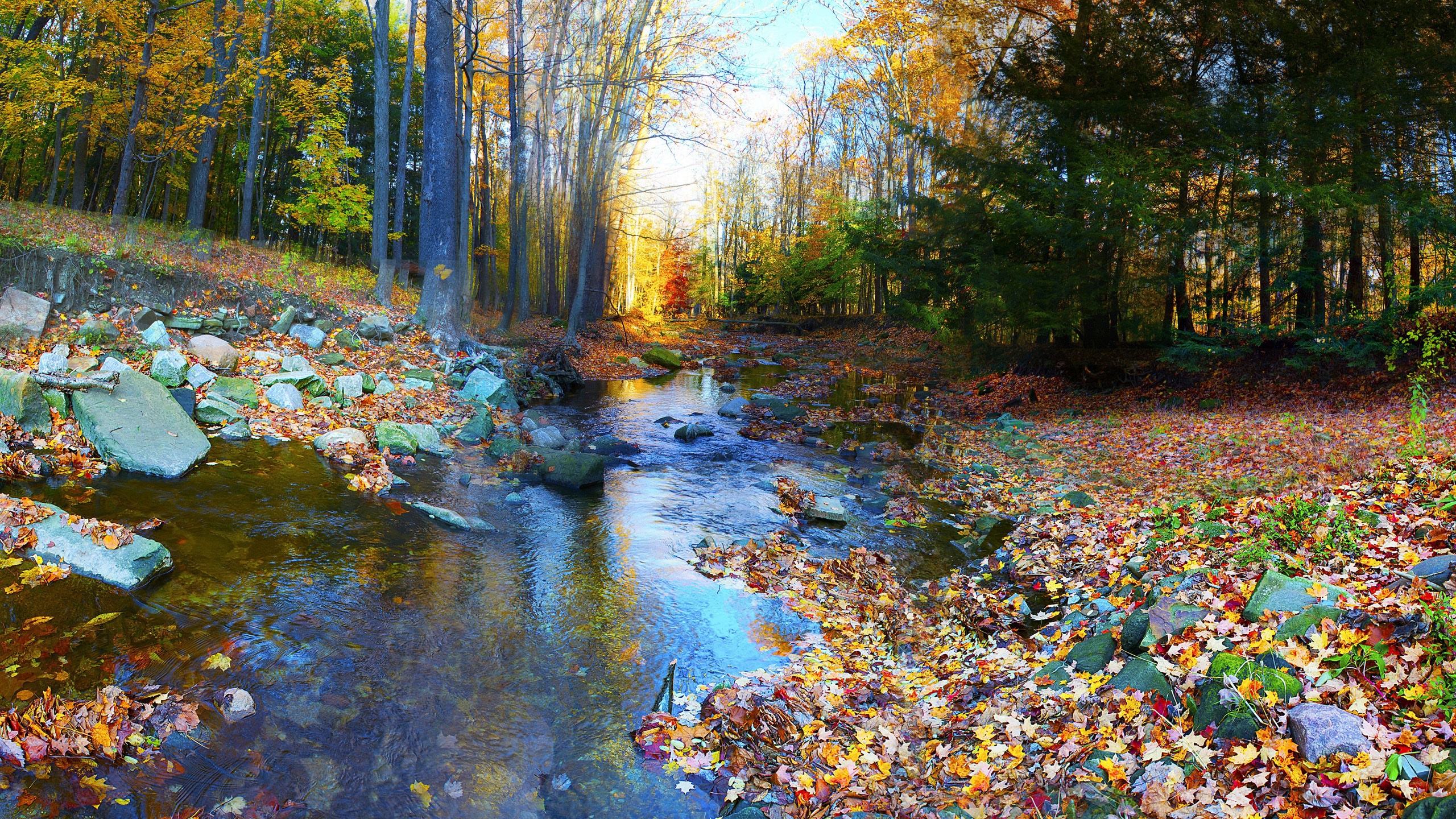 Colorful Landscape Forest Fall Wallpapers