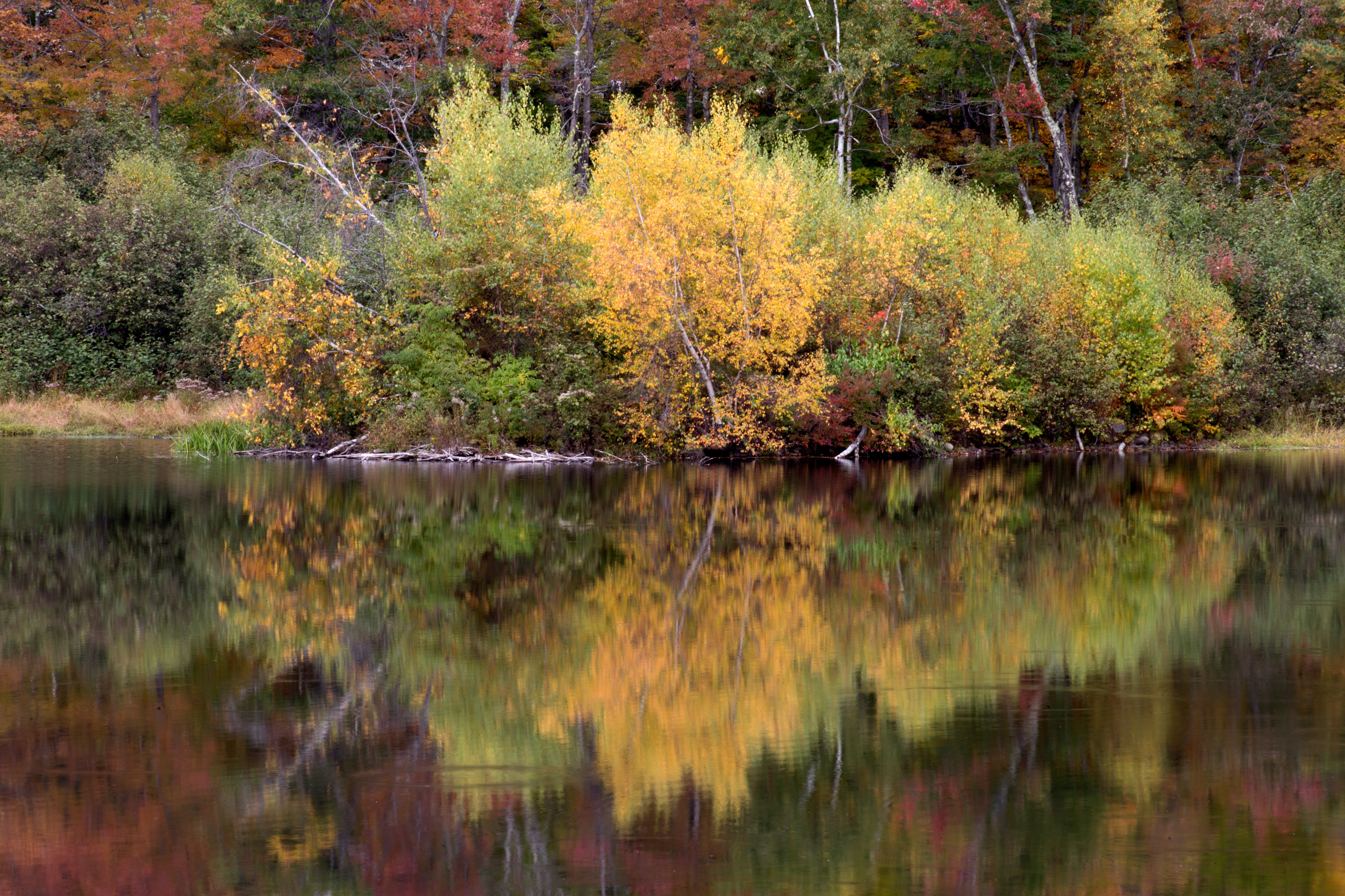 Colorful Landscape Forest Fall Wallpapers