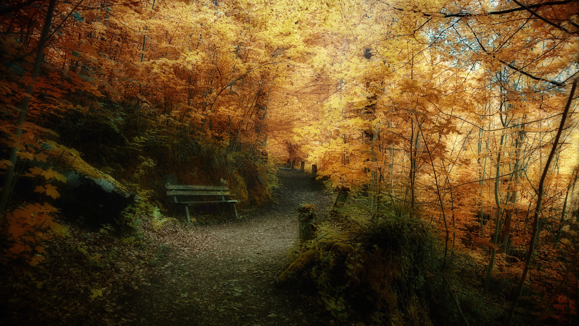 Colorful Landscape Forest Fall Wallpapers