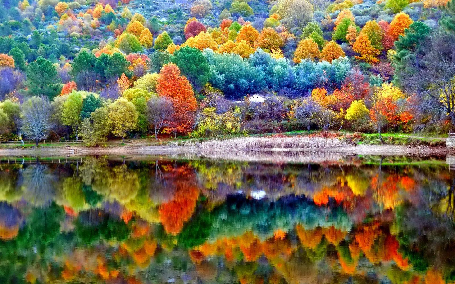 Colorful Landscape Forest Fall Wallpapers