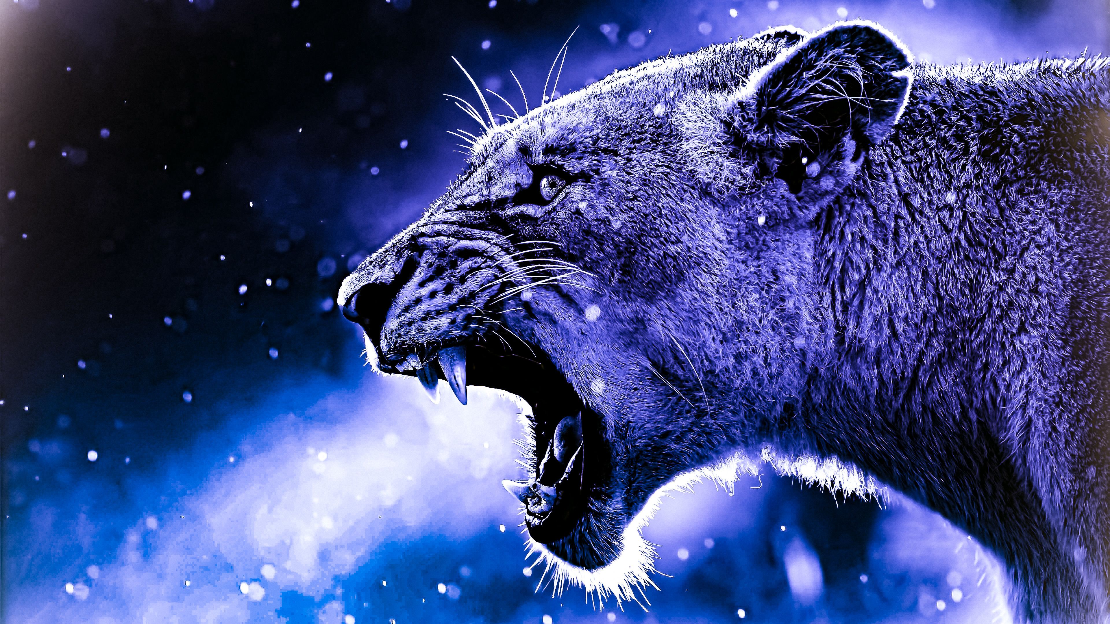 Colorful Lion Spirit In Space Nebula
 Wallpapers