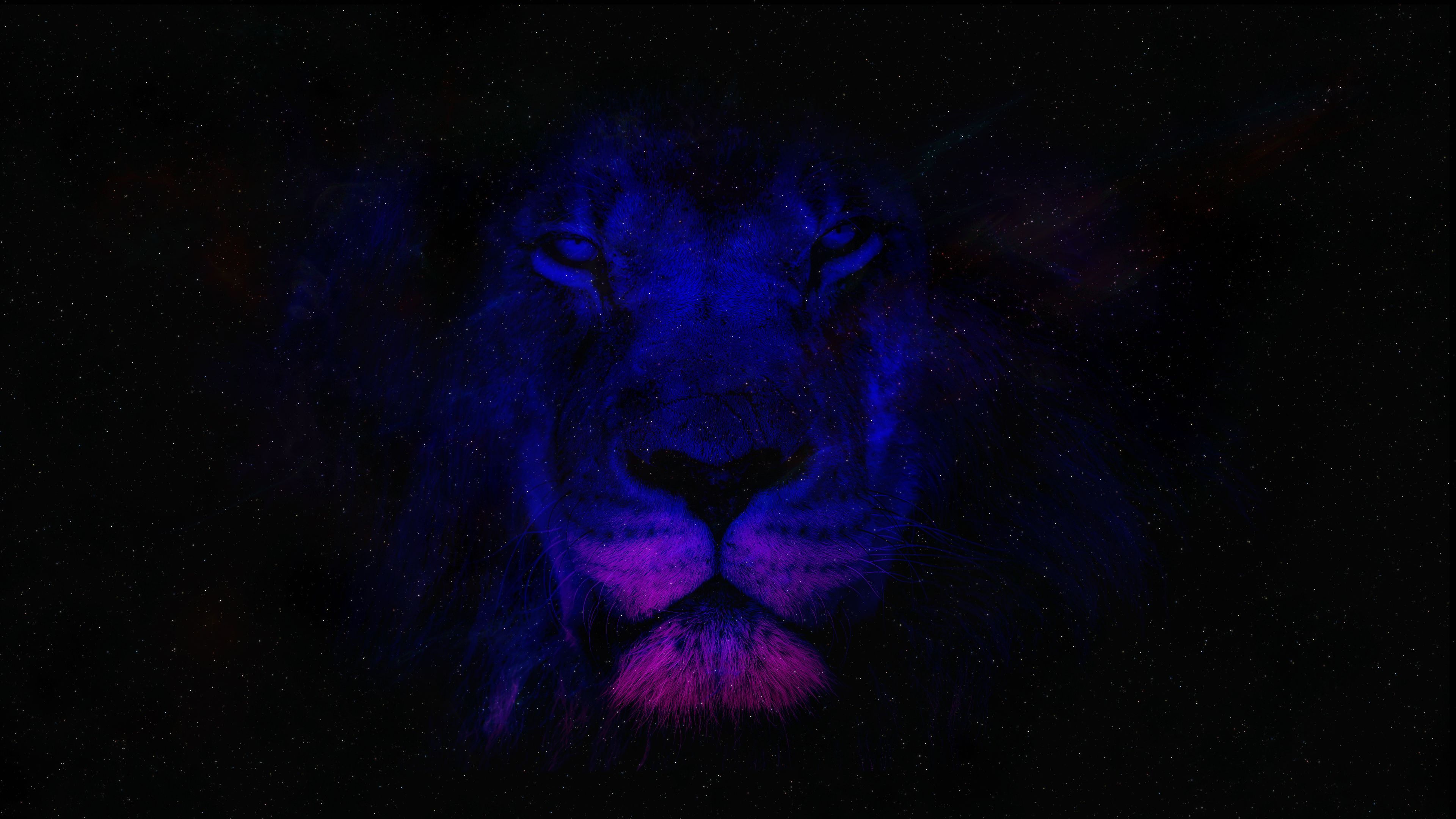 Colorful Lion Spirit In Space Nebula
 Wallpapers