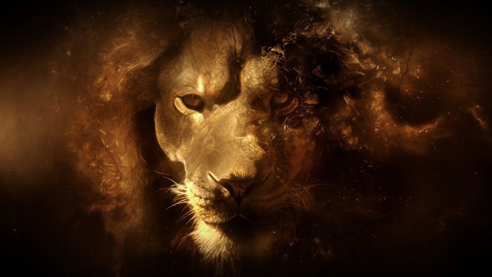 Colorful Lion Wallpapers