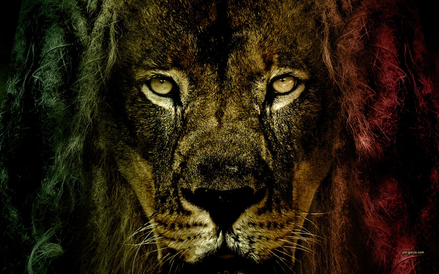 Colorful Lion Wallpapers