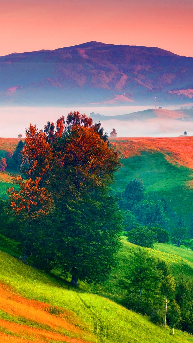 Colorful Nature Landscape Wallpapers