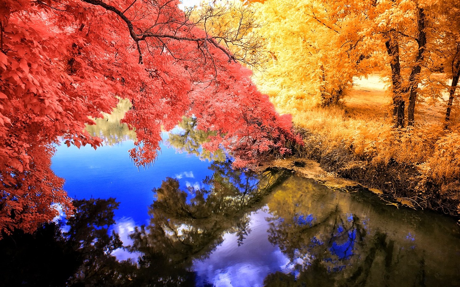 Colorful Nature Landscape Wallpapers