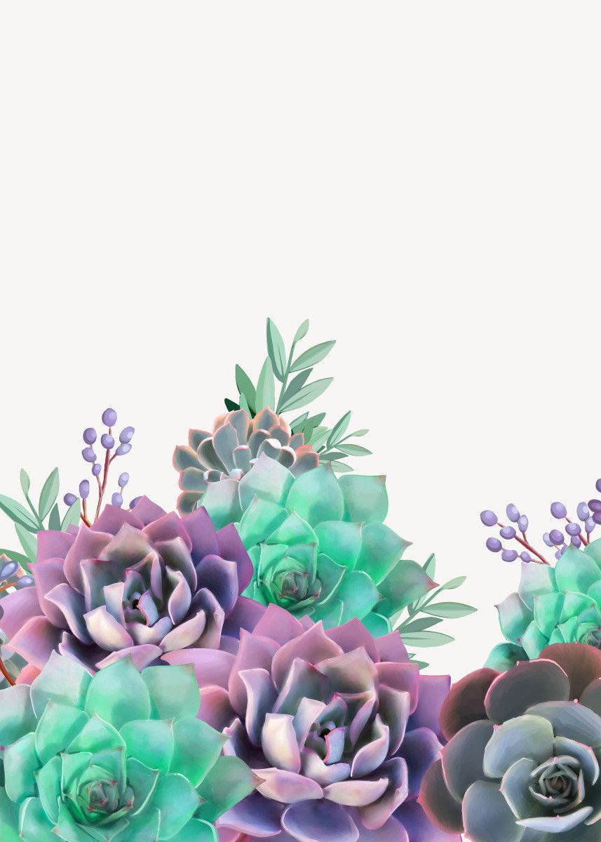 Colorful Succulent Wallpapers