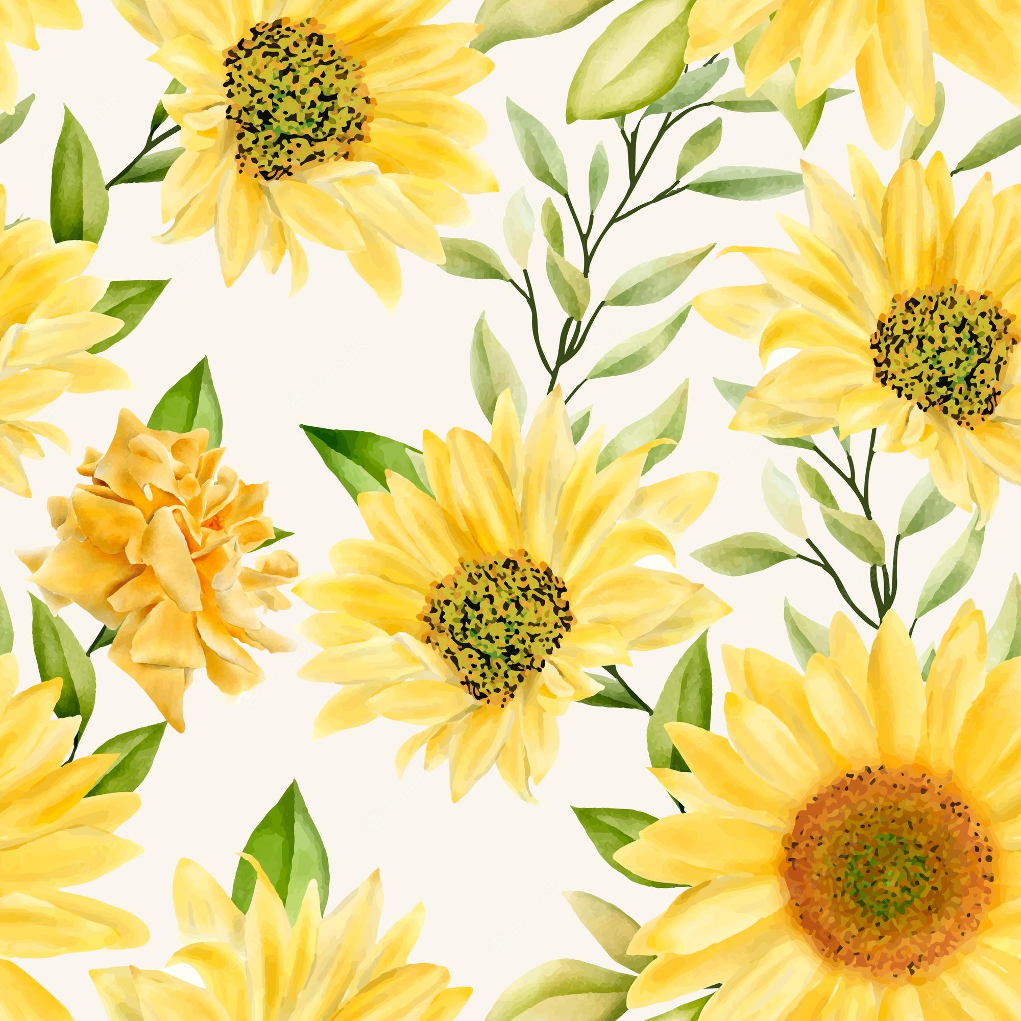 Colorful Sunflower Wallpapers