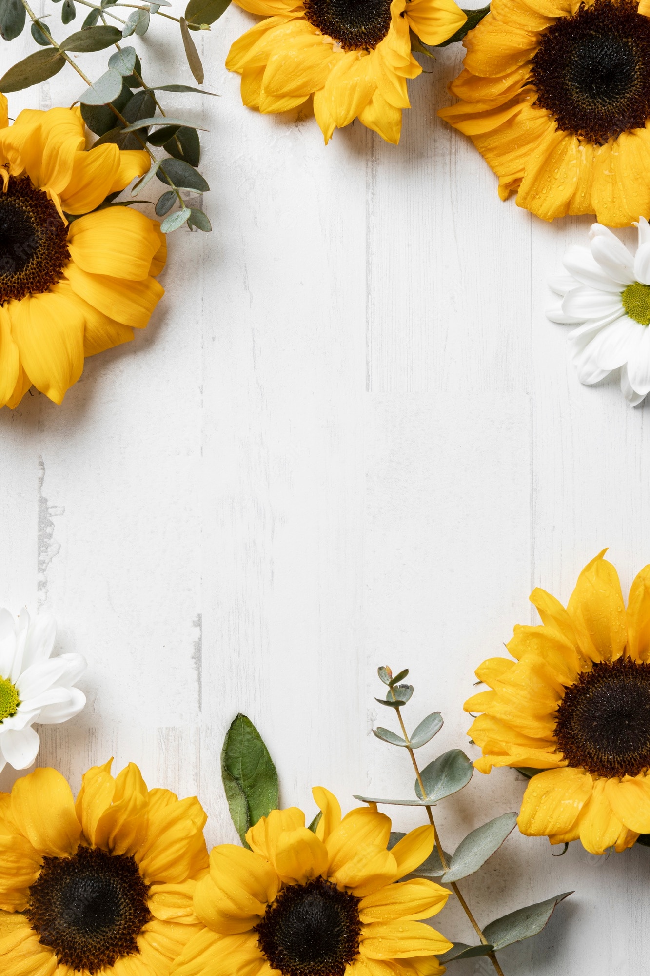 Colorful Sunflower Wallpapers