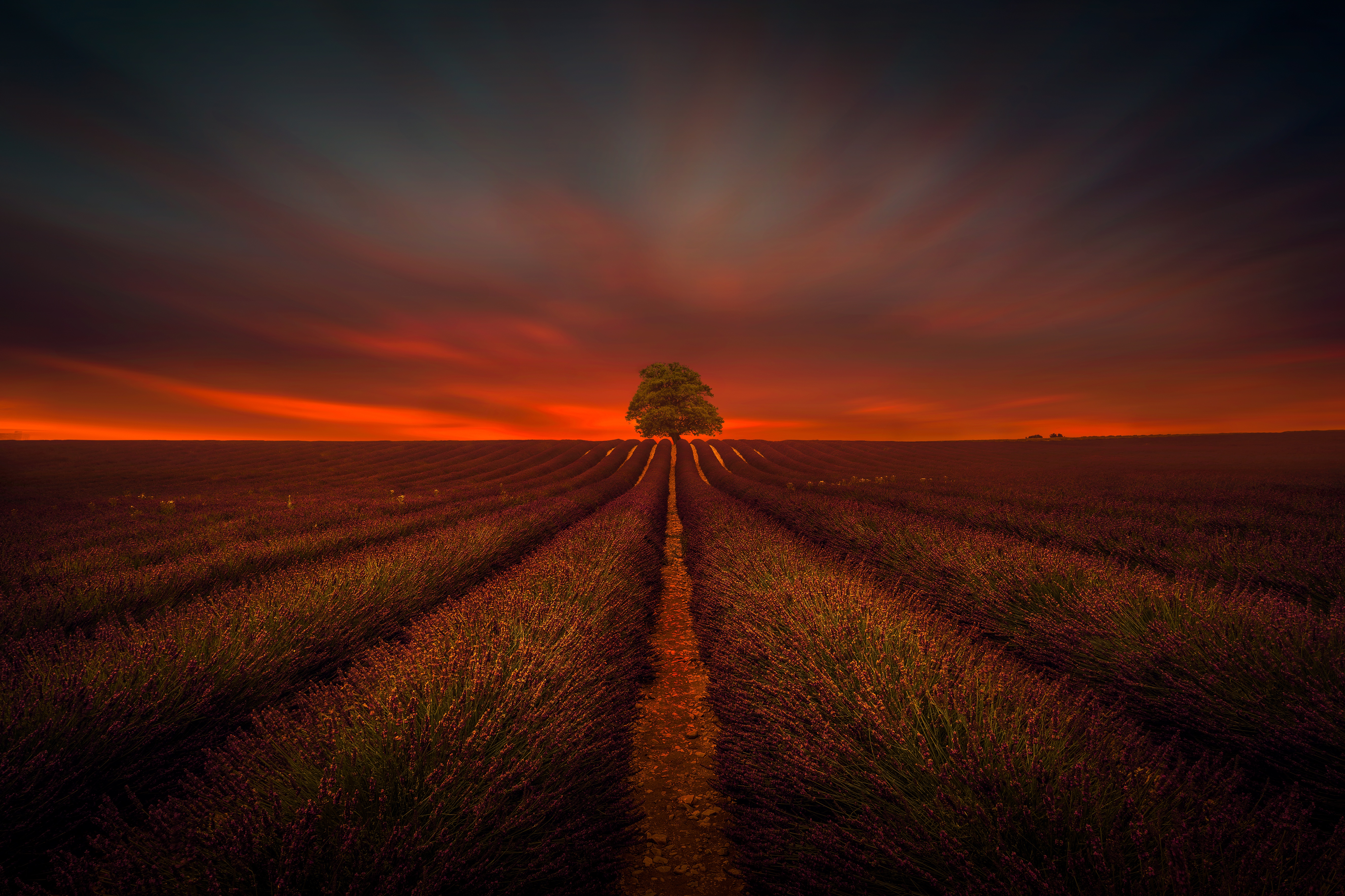 Colorful Sunset At Lonely Field Wallpapers