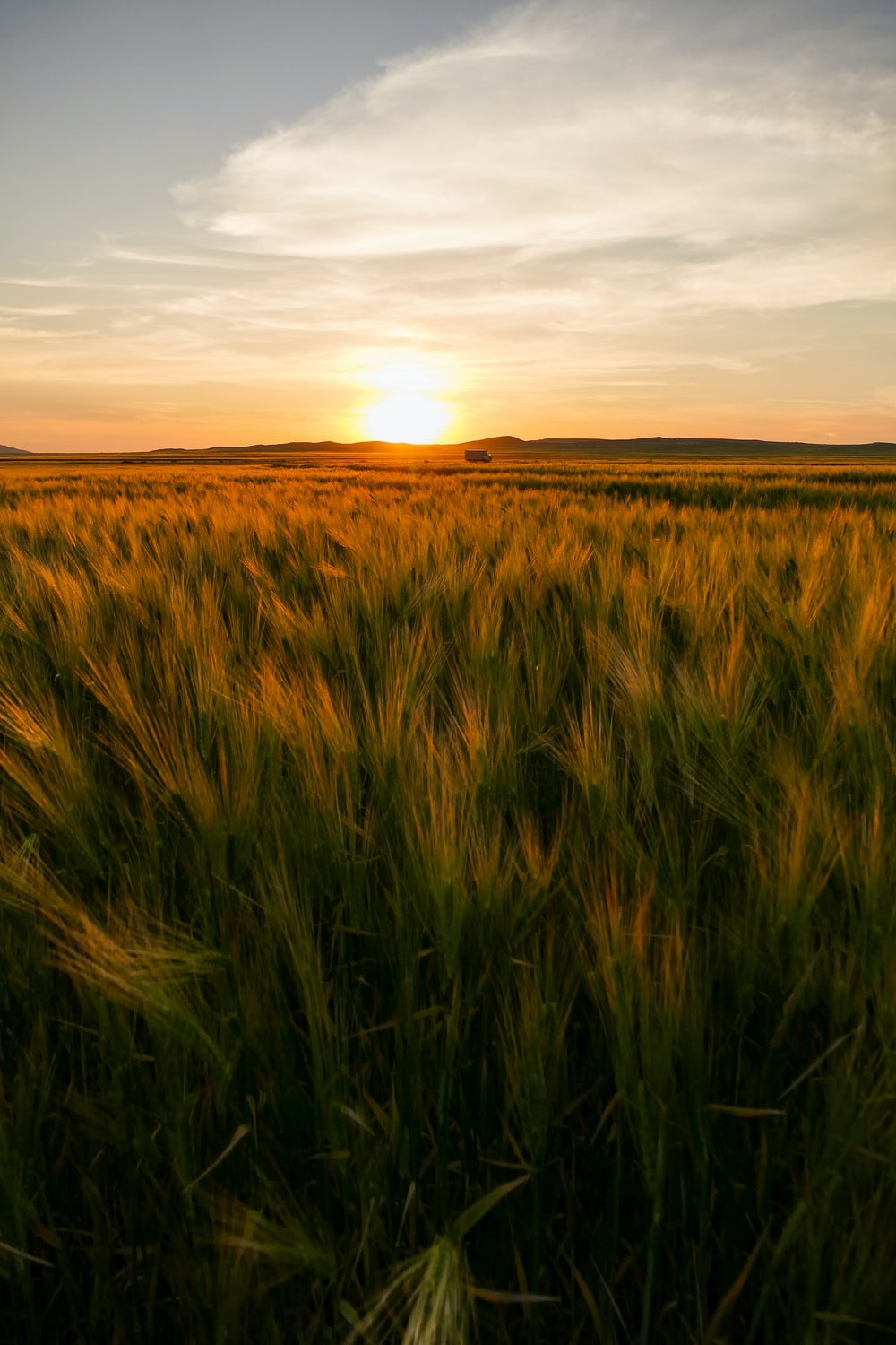 Colorful Sunset At Lonely Field Wallpapers