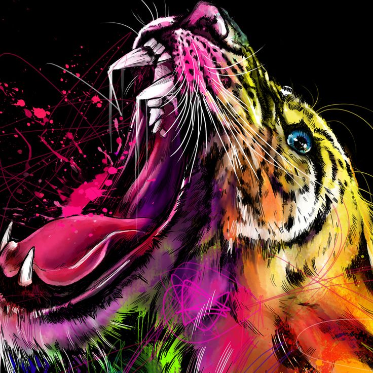 Colorful Tiger Wallpapers