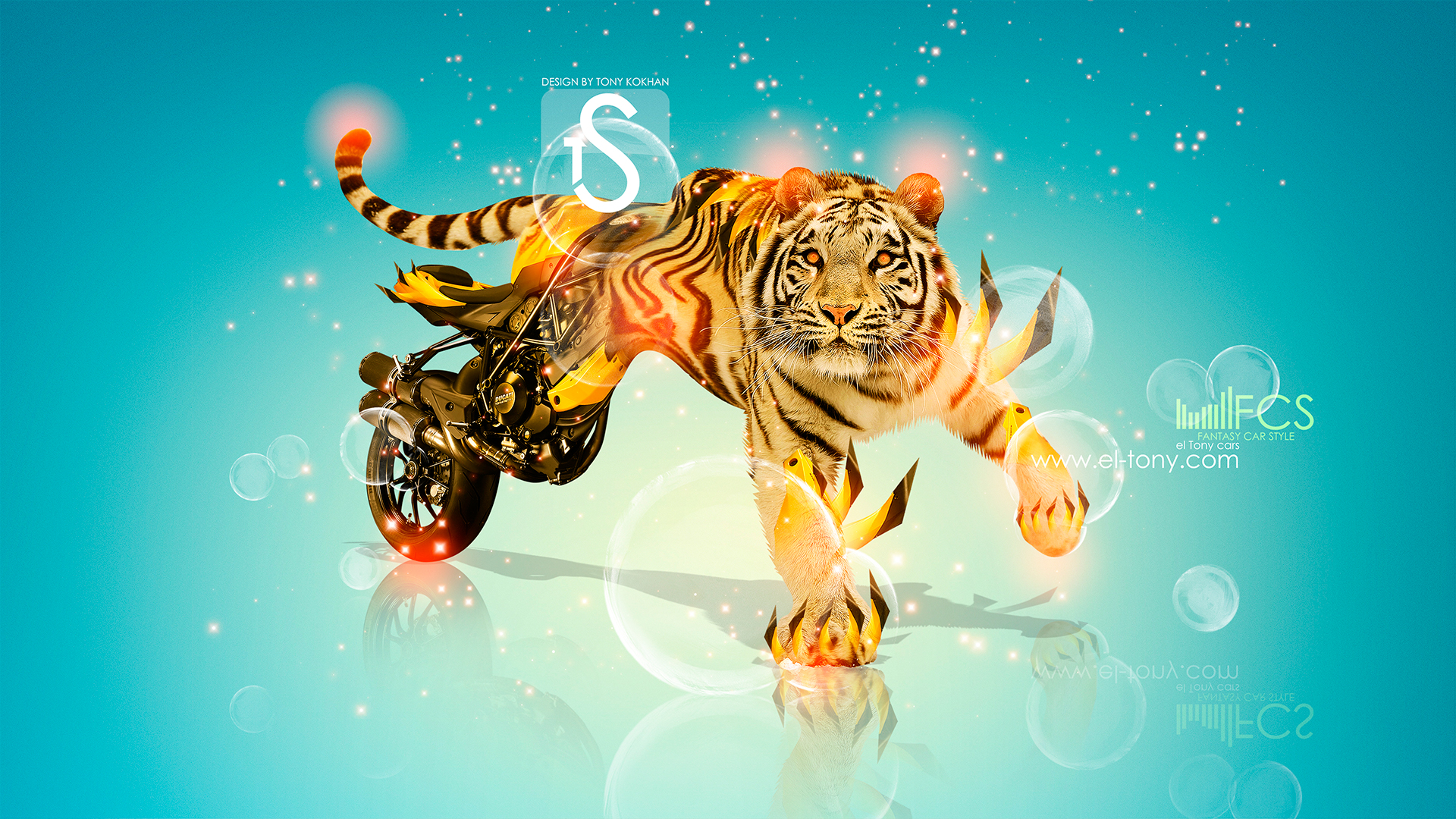 Colorful Tiger Wallpapers