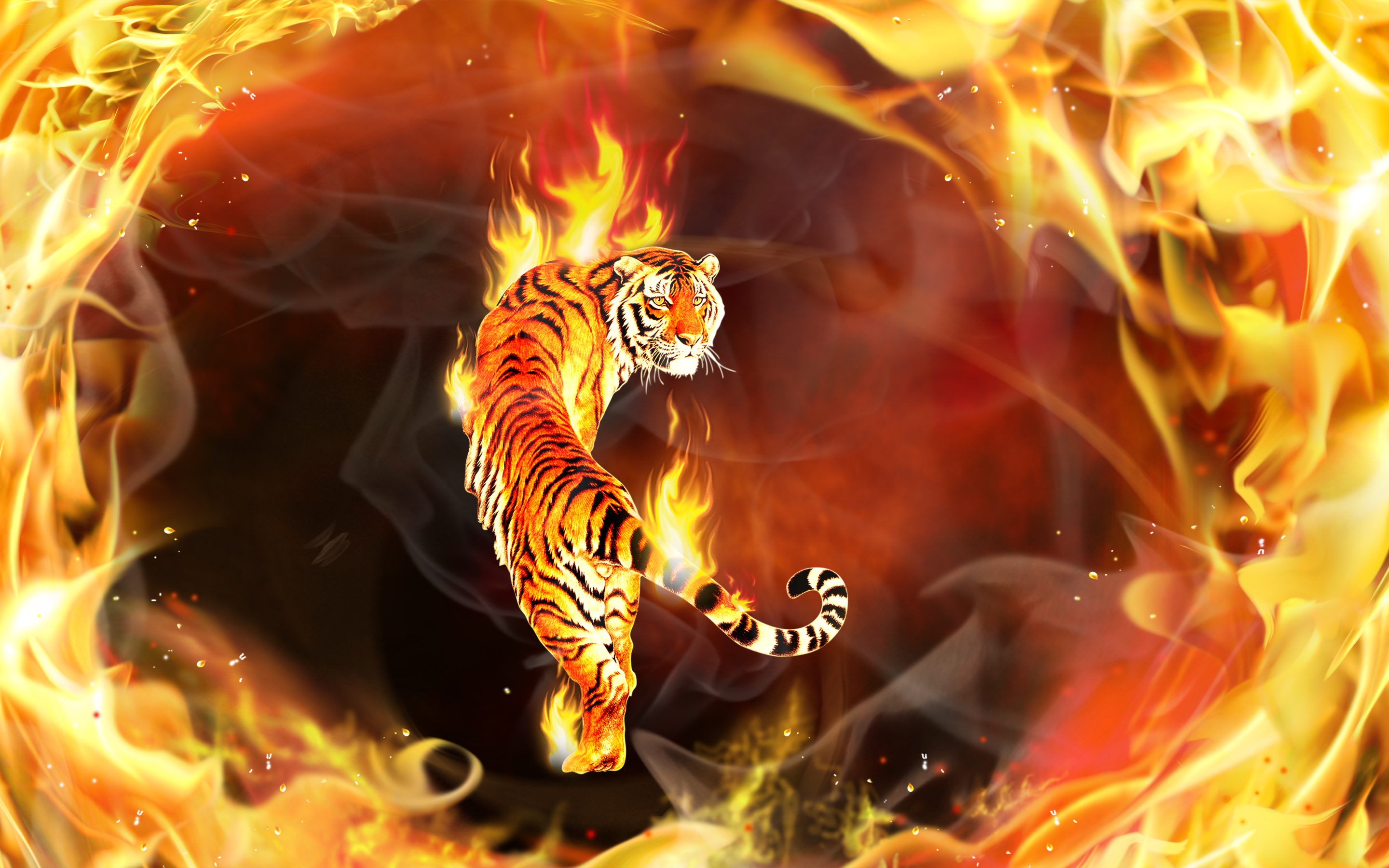 Colorful Tiger Wallpapers