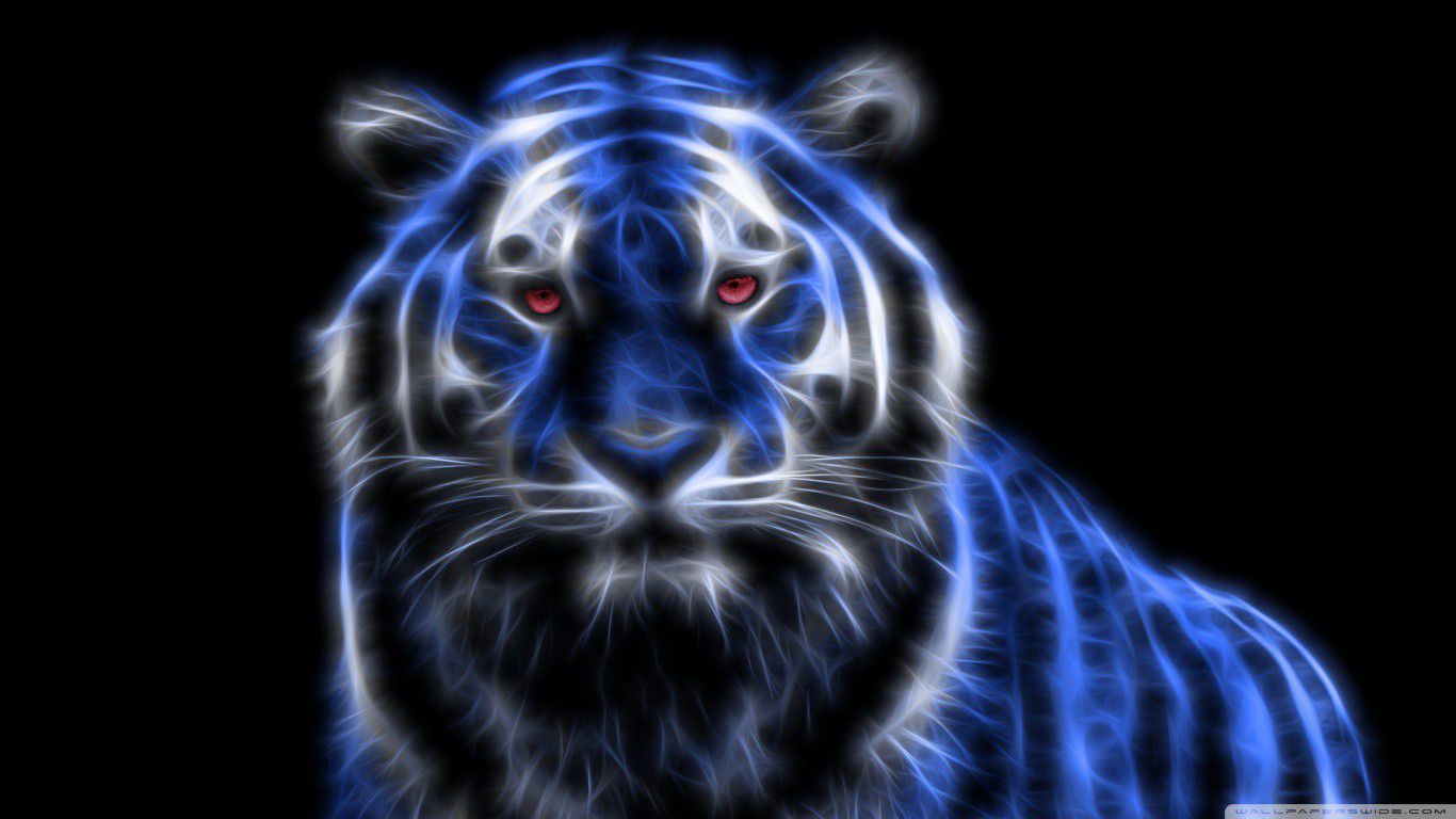 Colorful Tiger Wallpapers