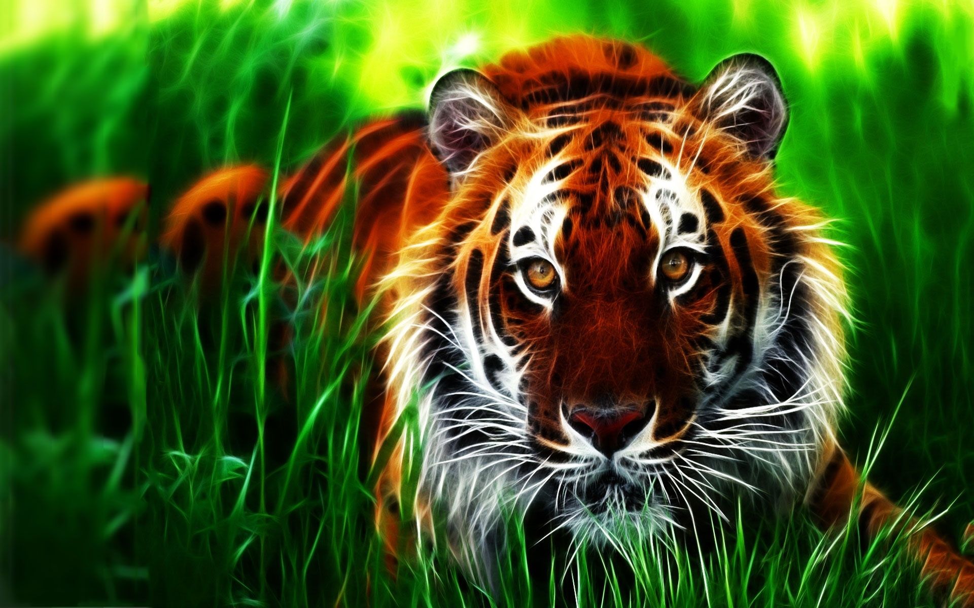 Colorful Tiger Wallpapers