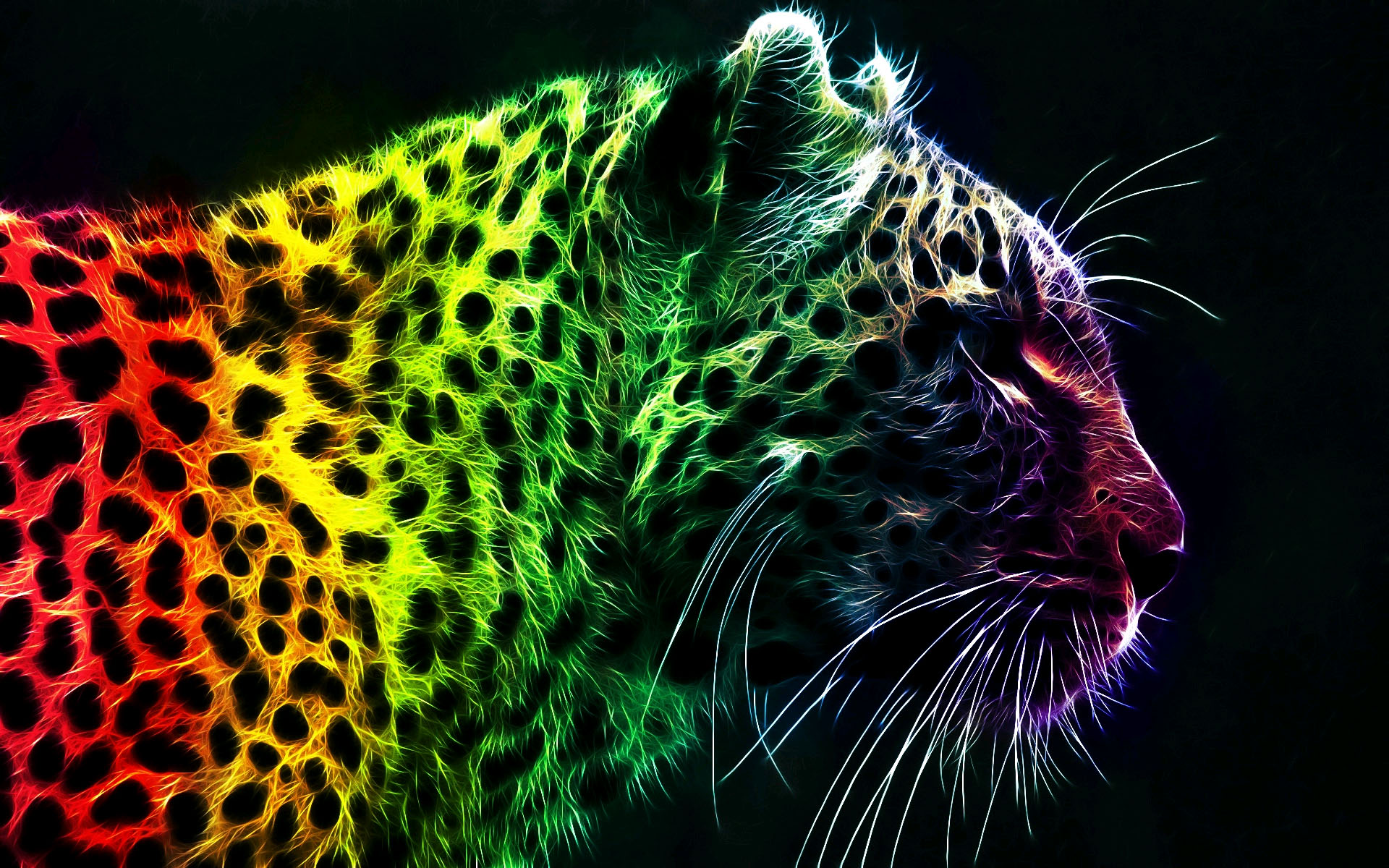 Colorful Tiger Wallpapers