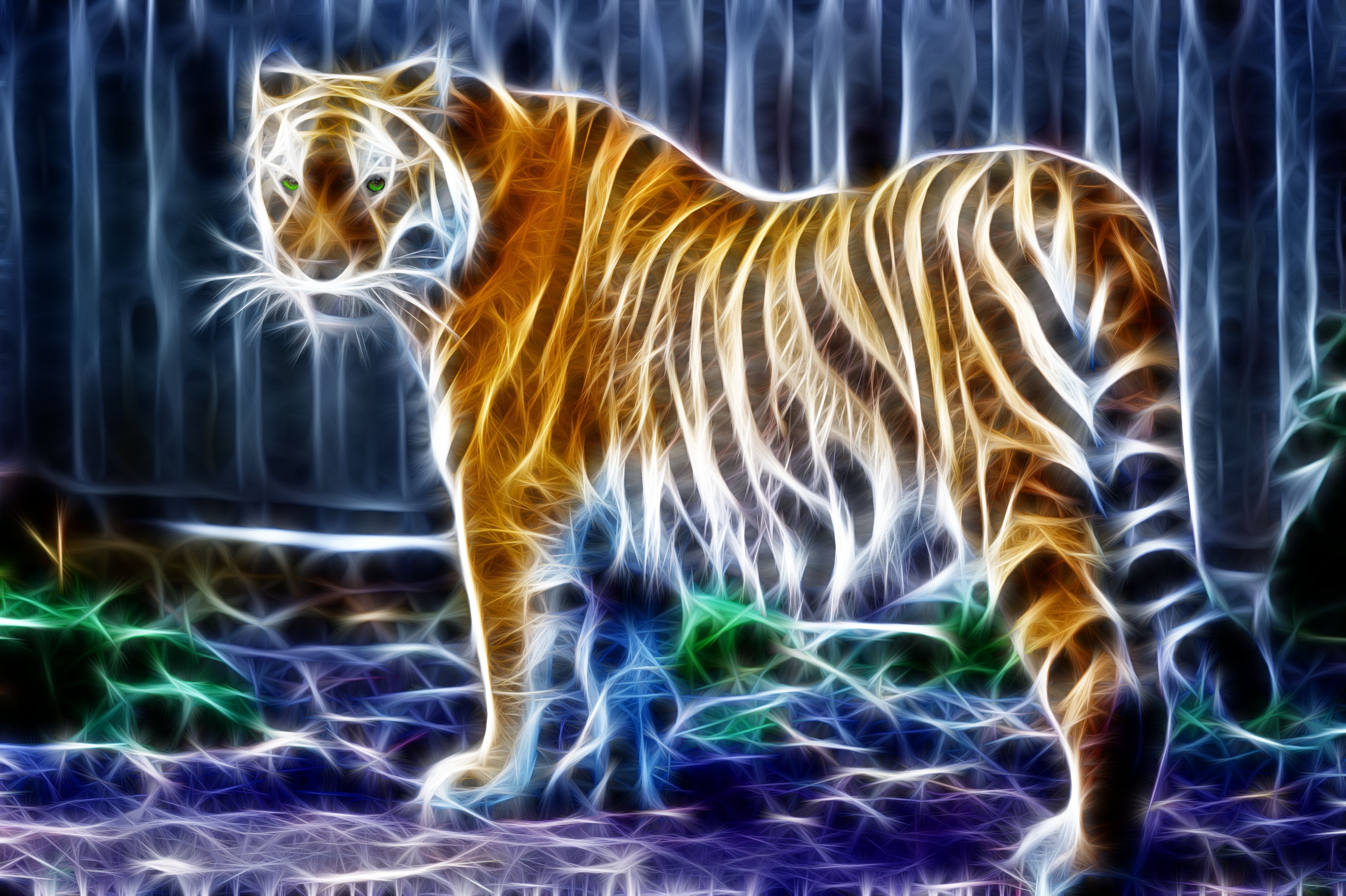 Colorful Tiger Wallpapers