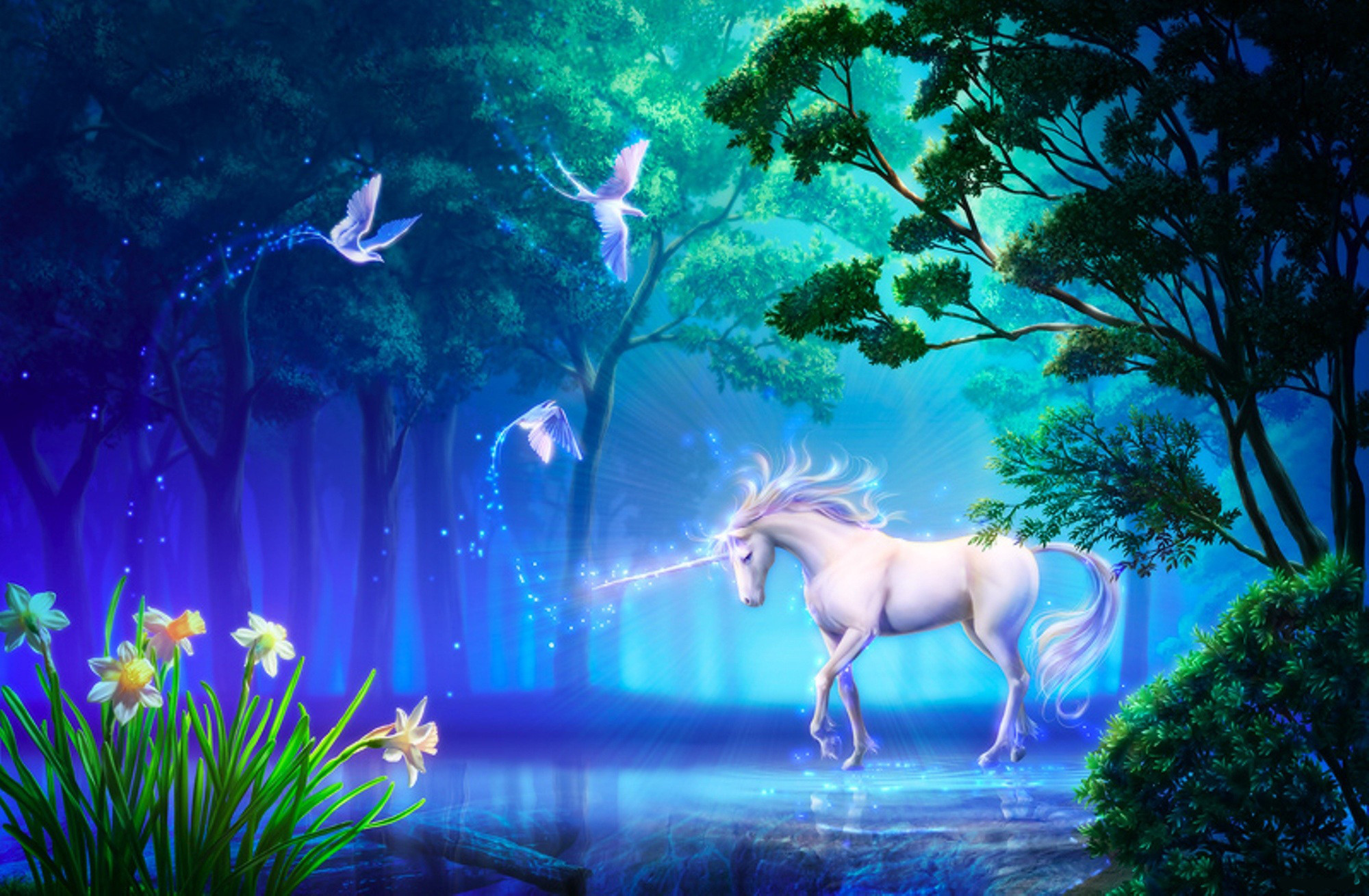 Colorful Unicorn Wallpapers