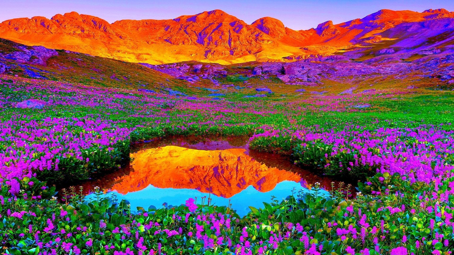 Colourful Nature Wallpapers