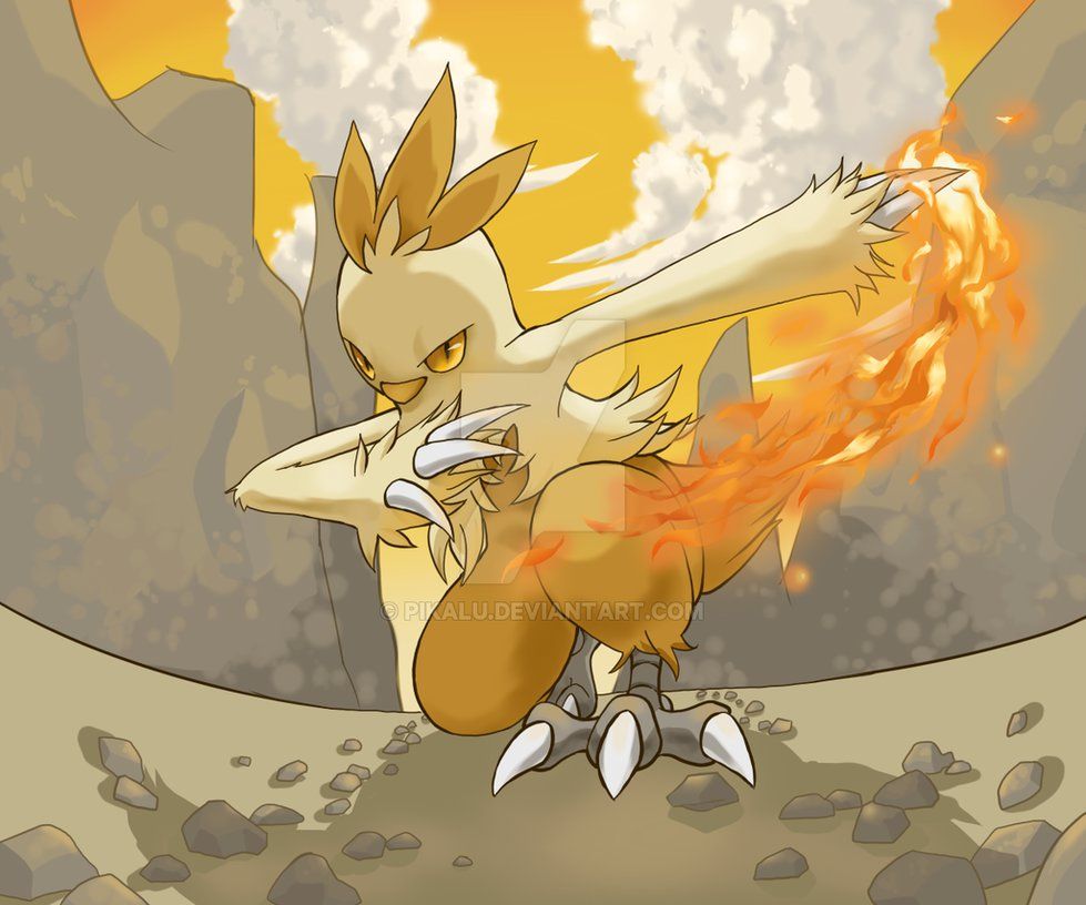 Combusken Hd Wallpapers