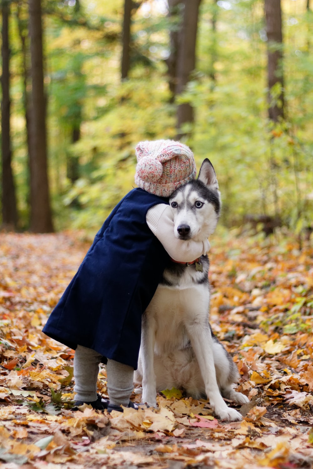 Comfort Animal Hug Wallpapers