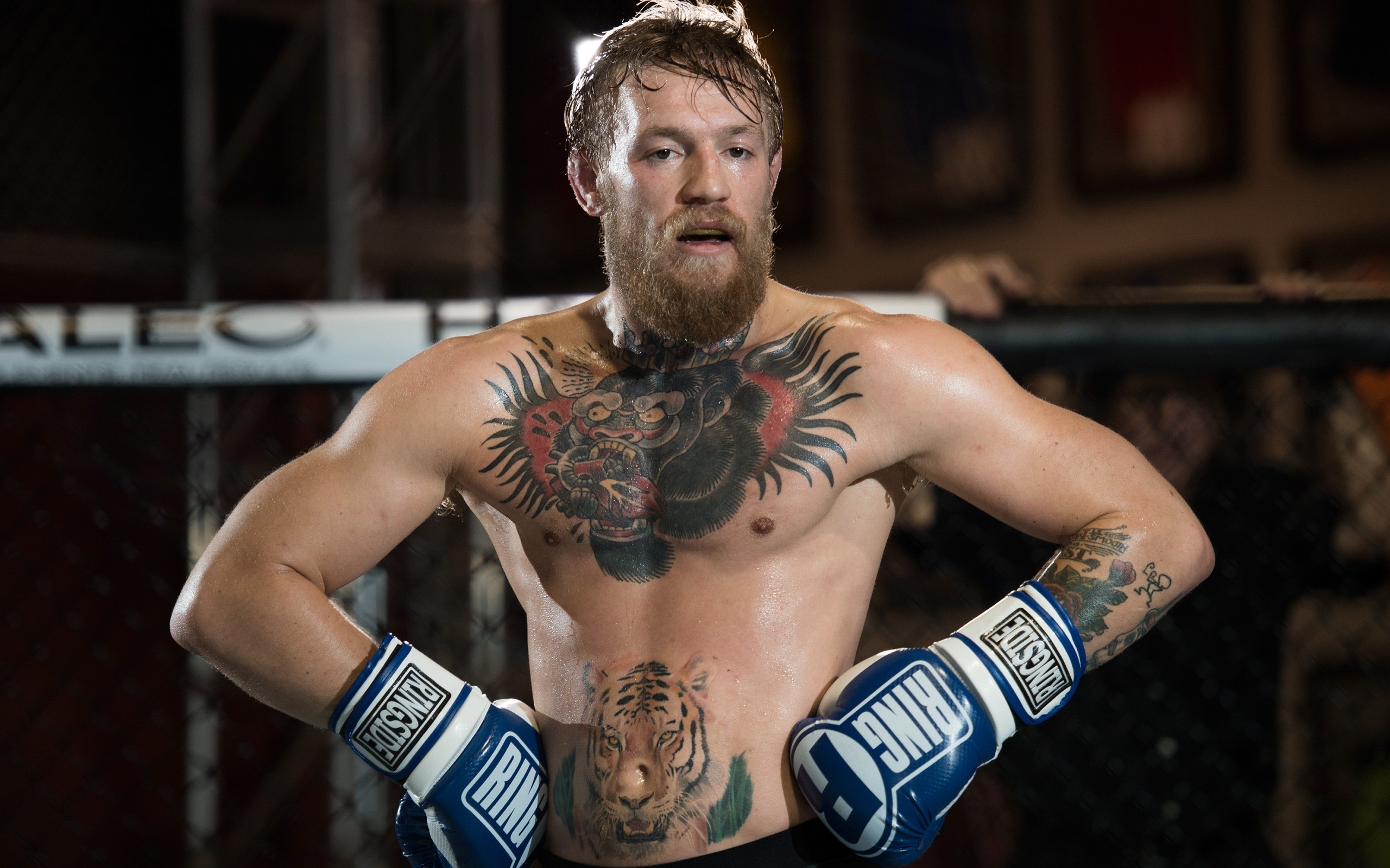 Connor Mcgregor Wallpapers