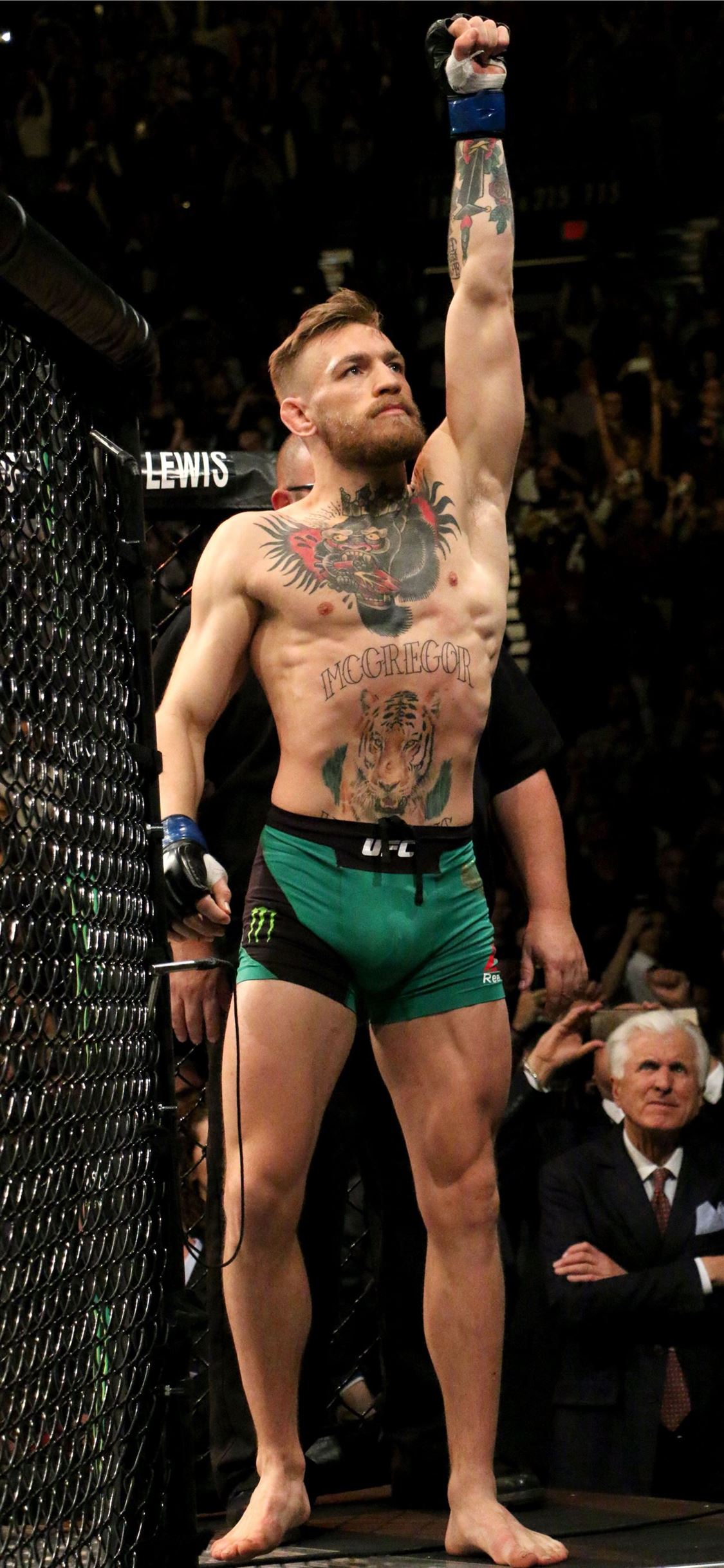 Conor Mcgregor Desktop Wallpapers