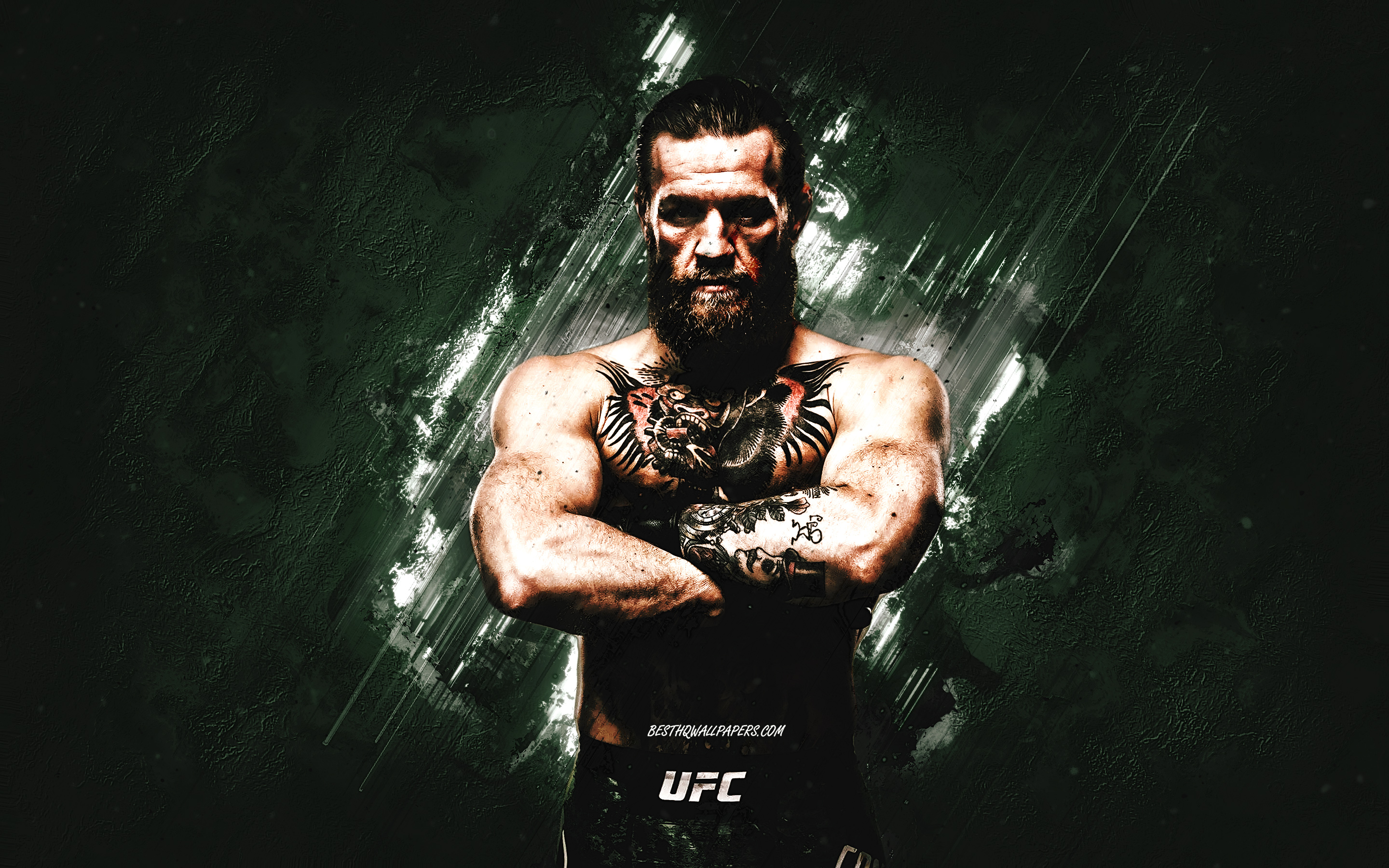 Conor Mcgregor Ufc Fighter Wallpapers