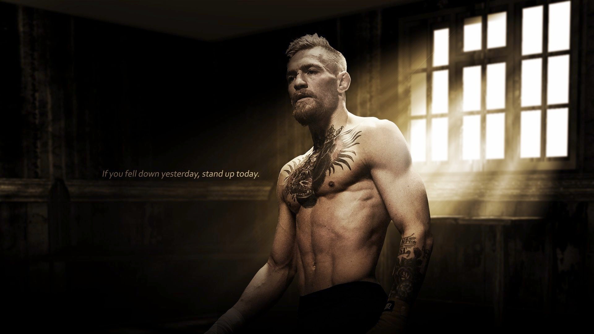 Conor Mcgregor Ufc Fighter Wallpapers