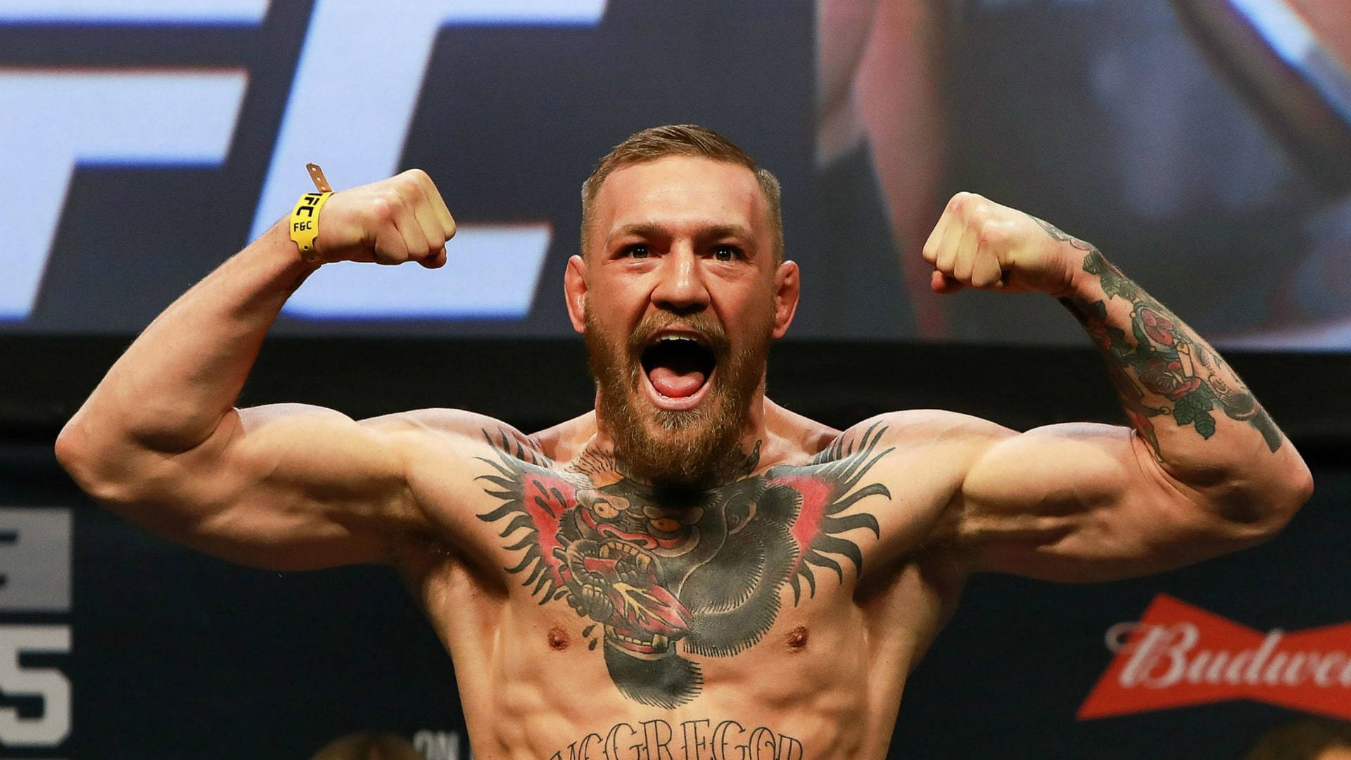 Conor Mcgregor Ufc Fighter Wallpapers