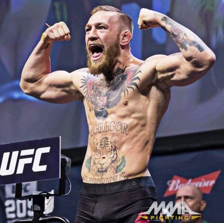 Conor Mcgregor Ufc Fighter Wallpapers