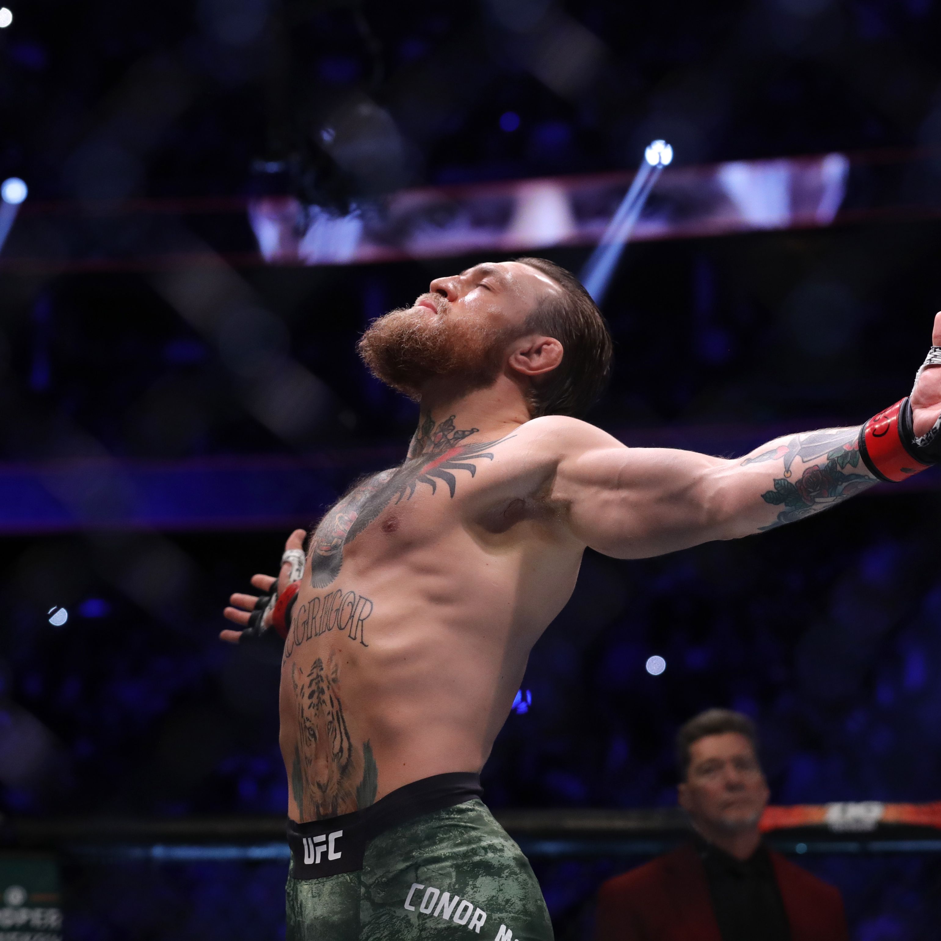 Conor Mcgregor Ufc Fighter Wallpapers