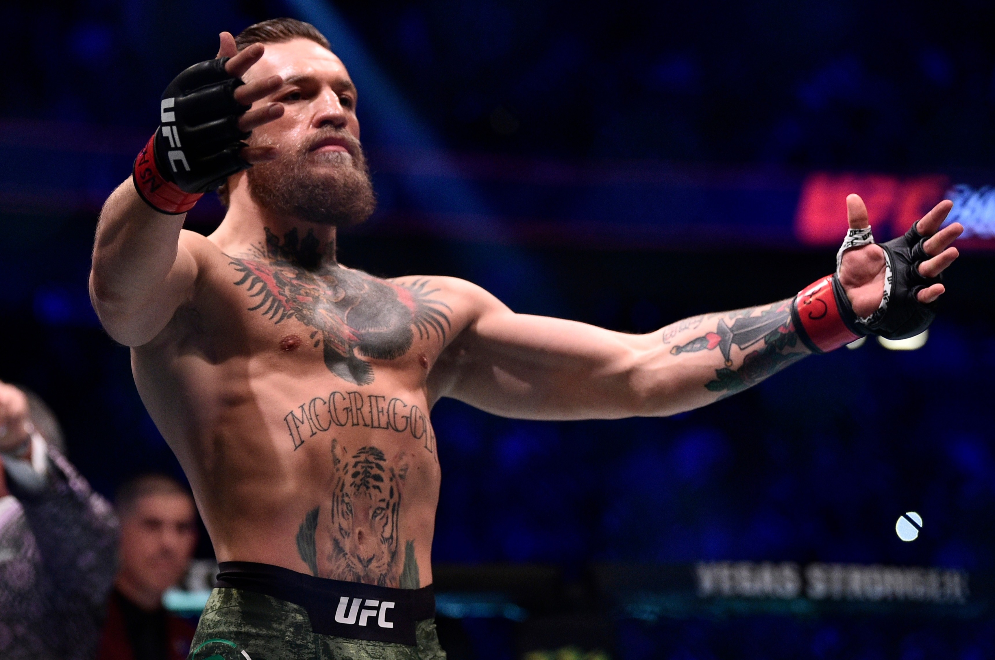 Conor Mcgregor Ufc Fighter Wallpapers