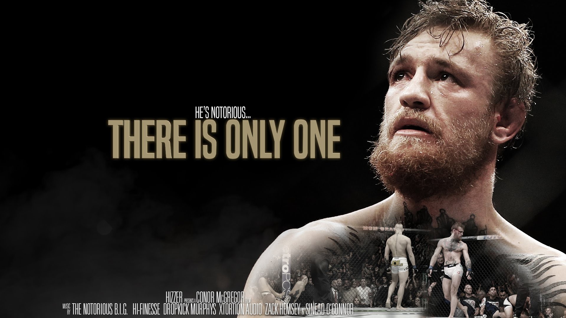 Conor Mcgregor Ufc Fighter Wallpapers