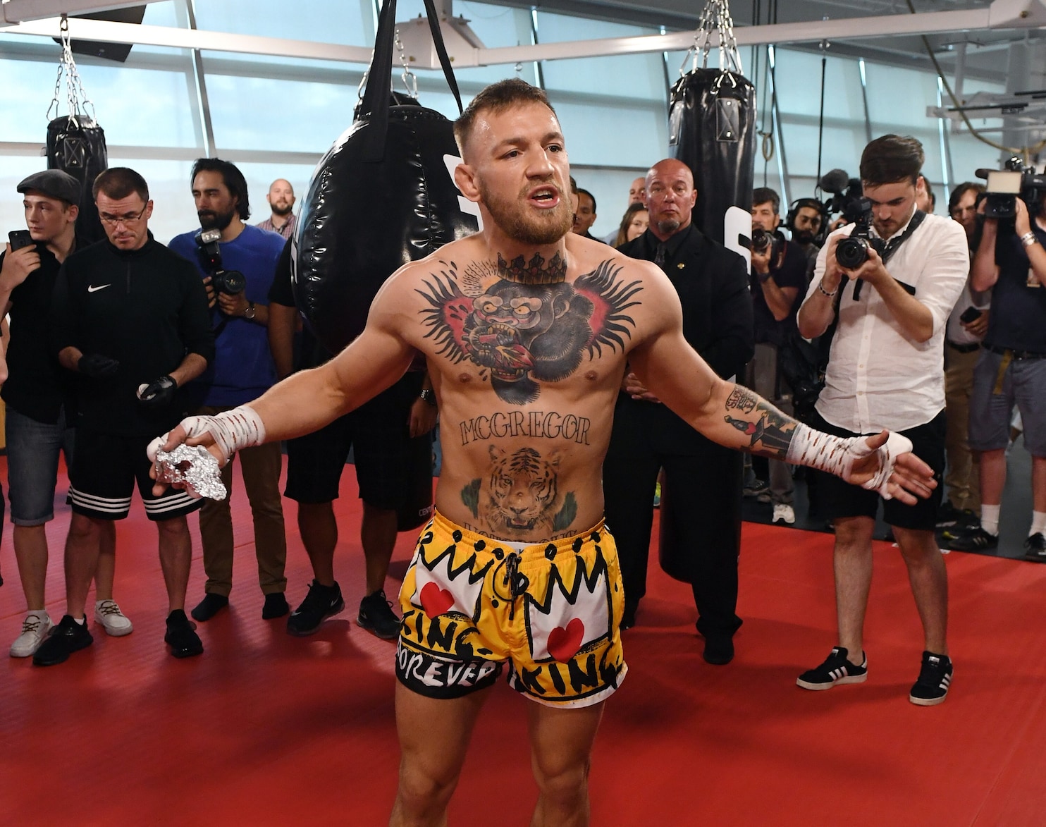 Conor Mcgregor Ufc Fighter Wallpapers