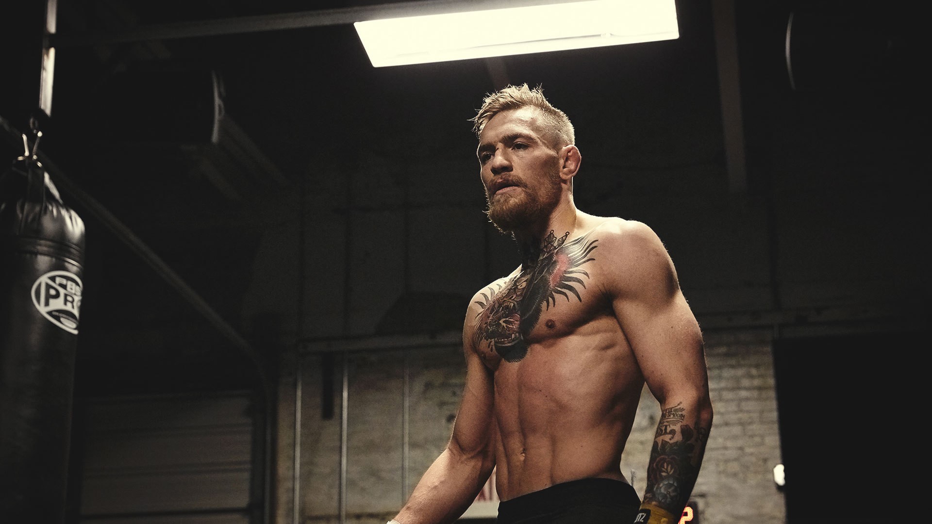 Conor Mcgregor Wallpapers