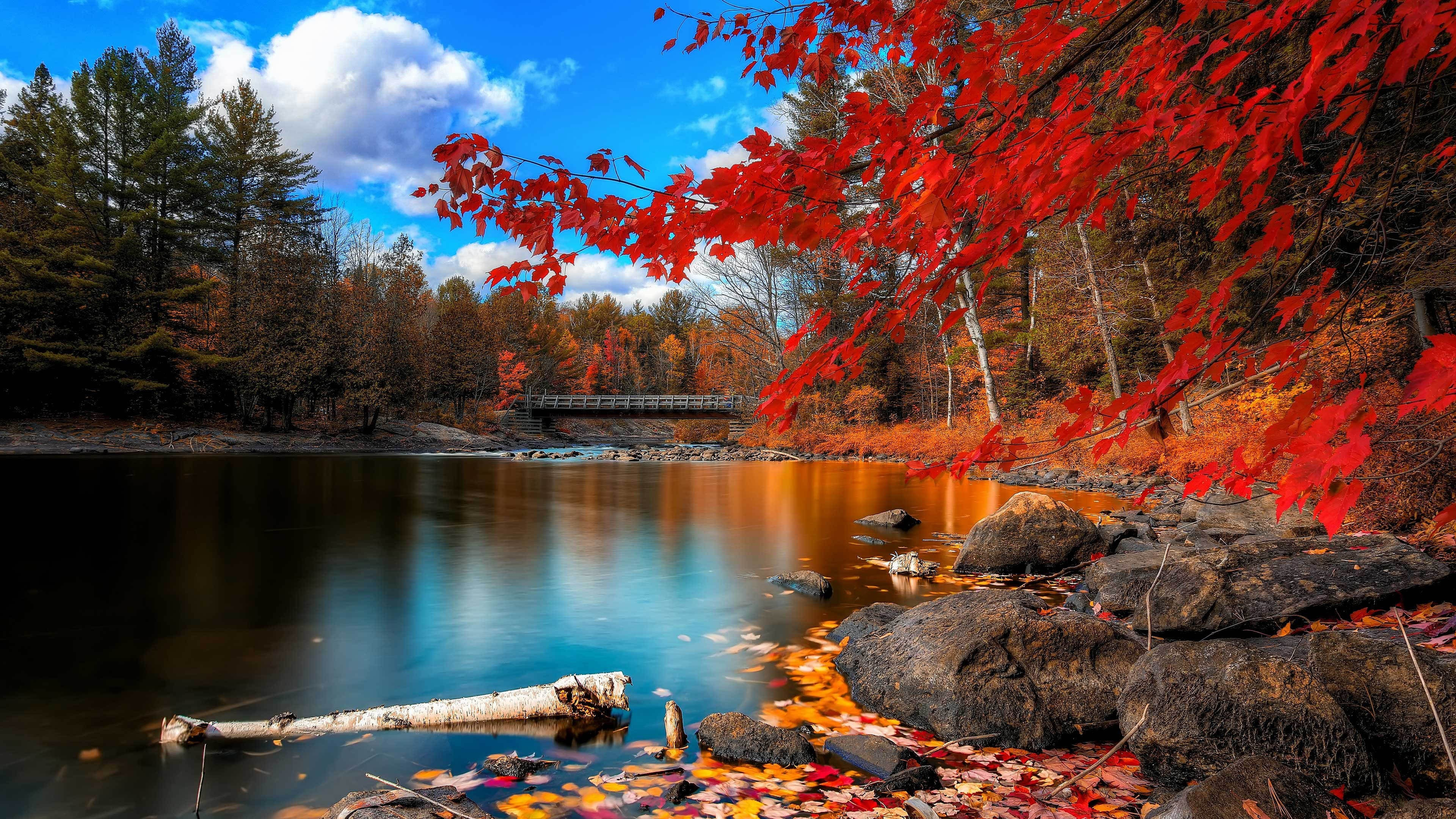 Convict Lake Autumn Wallpapers