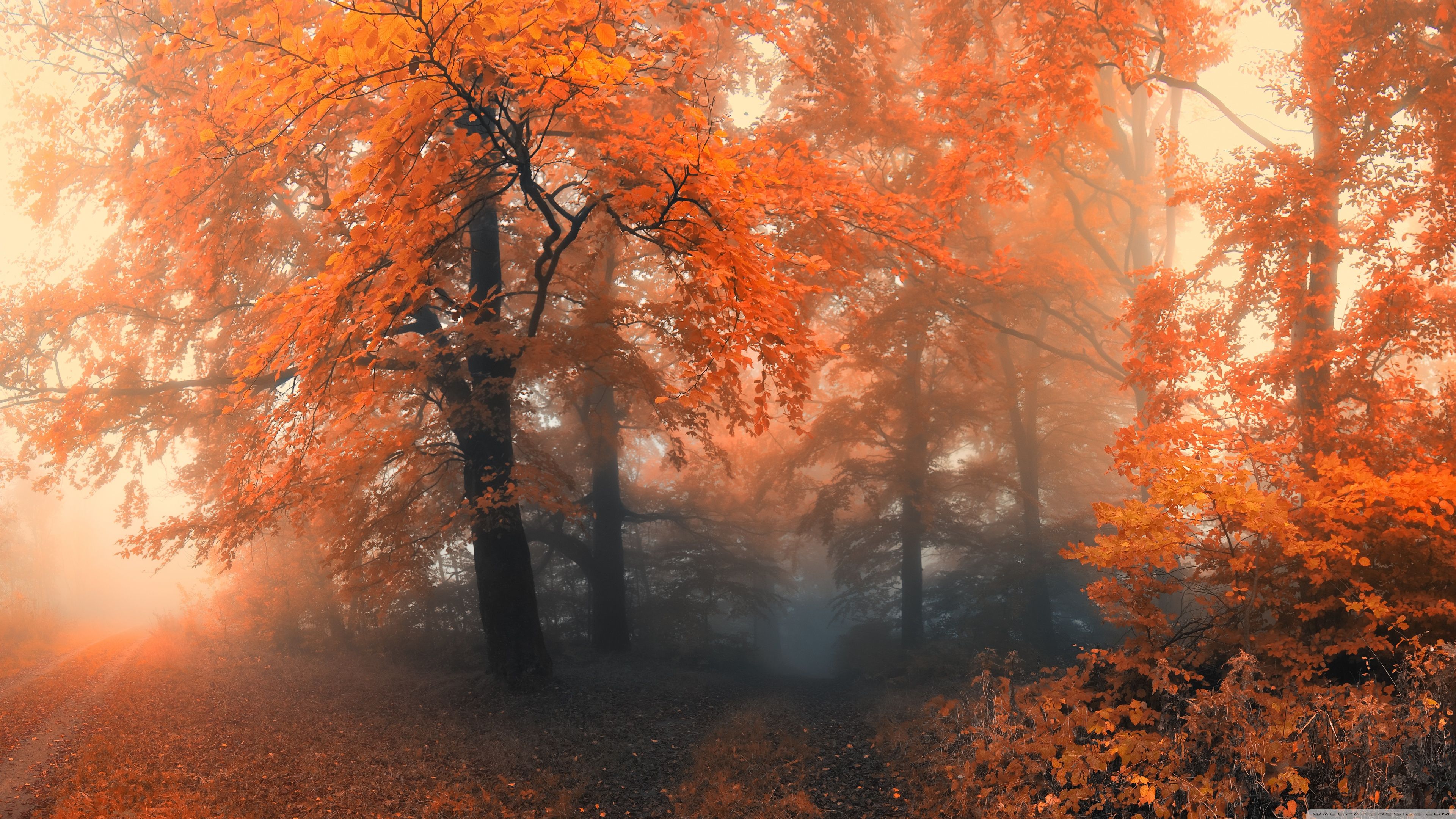 Convict Lake Autumn Wallpapers