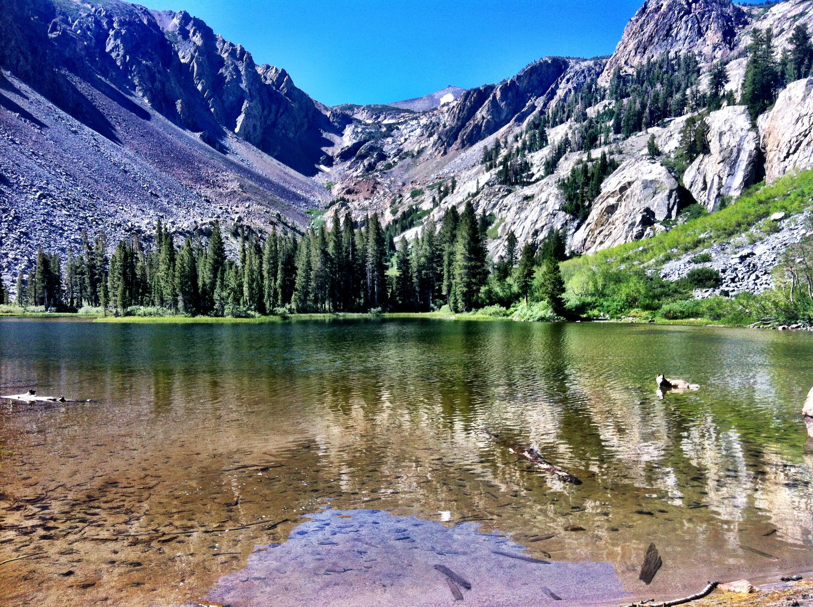 Convict Lake Autumn Wallpapers