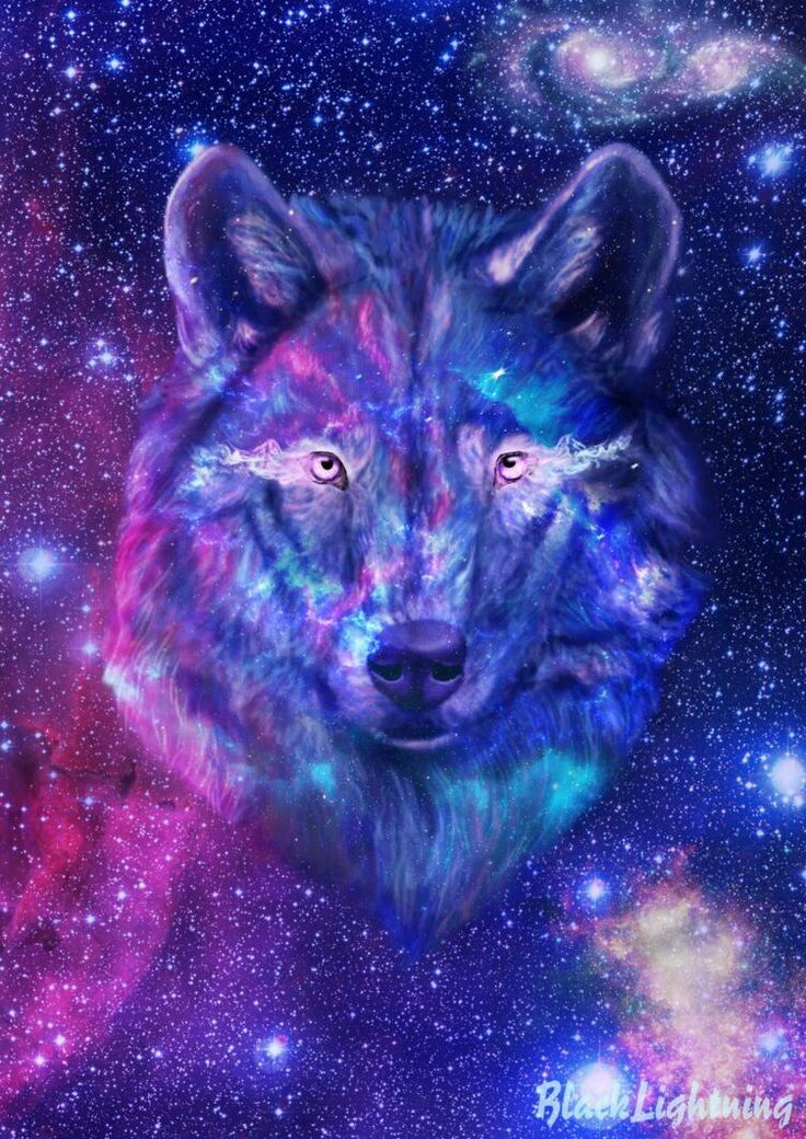 Cool Animal Galaxy Wallpapers