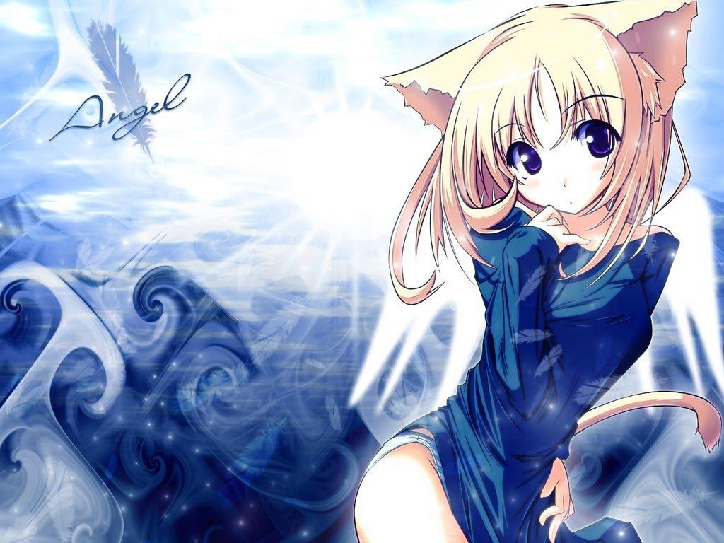 Cool Anime Cat Wallpapers